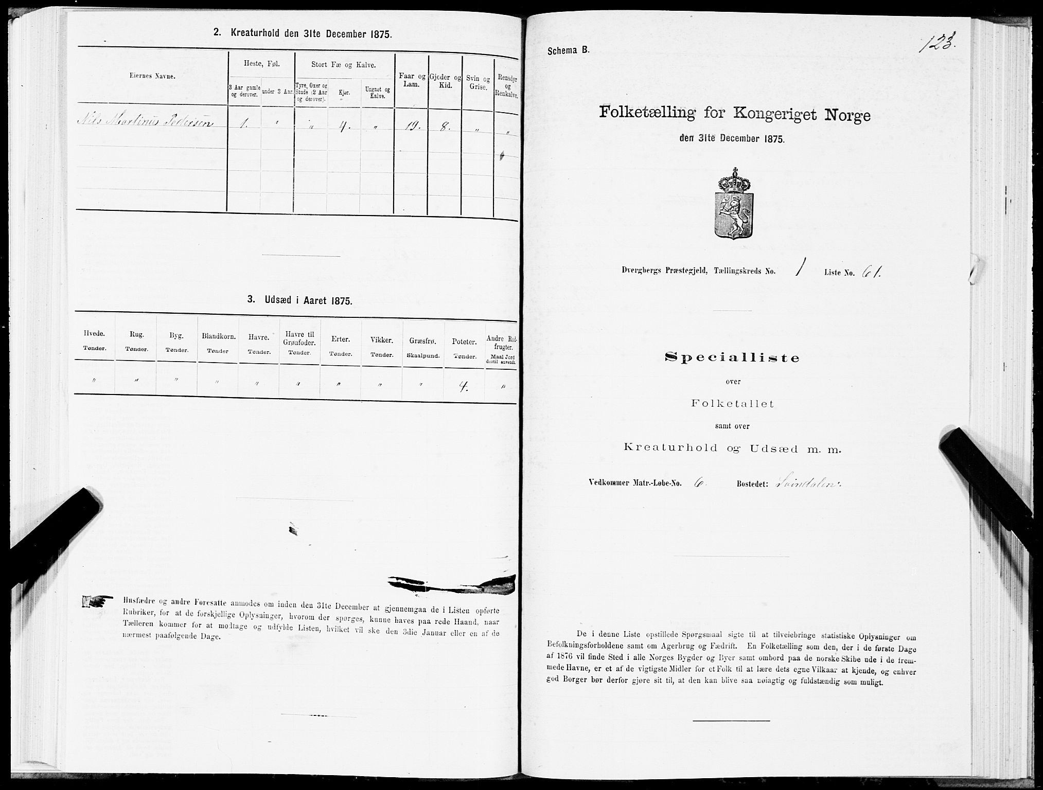 SAT, 1875 census for 1872P Dverberg, 1875, p. 1123