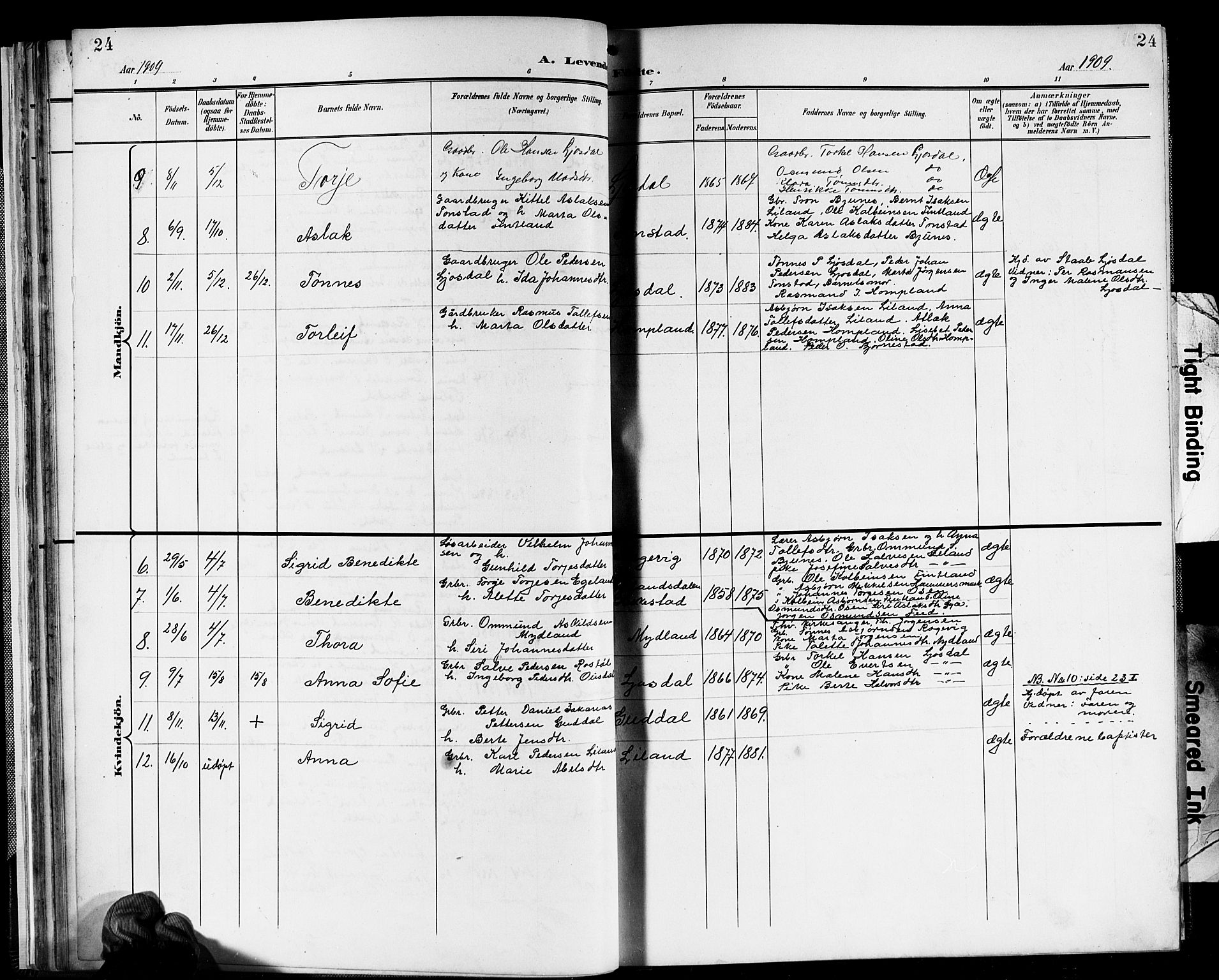 Sirdal sokneprestkontor, SAK/1111-0036/F/Fb/Fbb/L0004: Parish register (copy) no. B 4, 1895-1916, p. 24