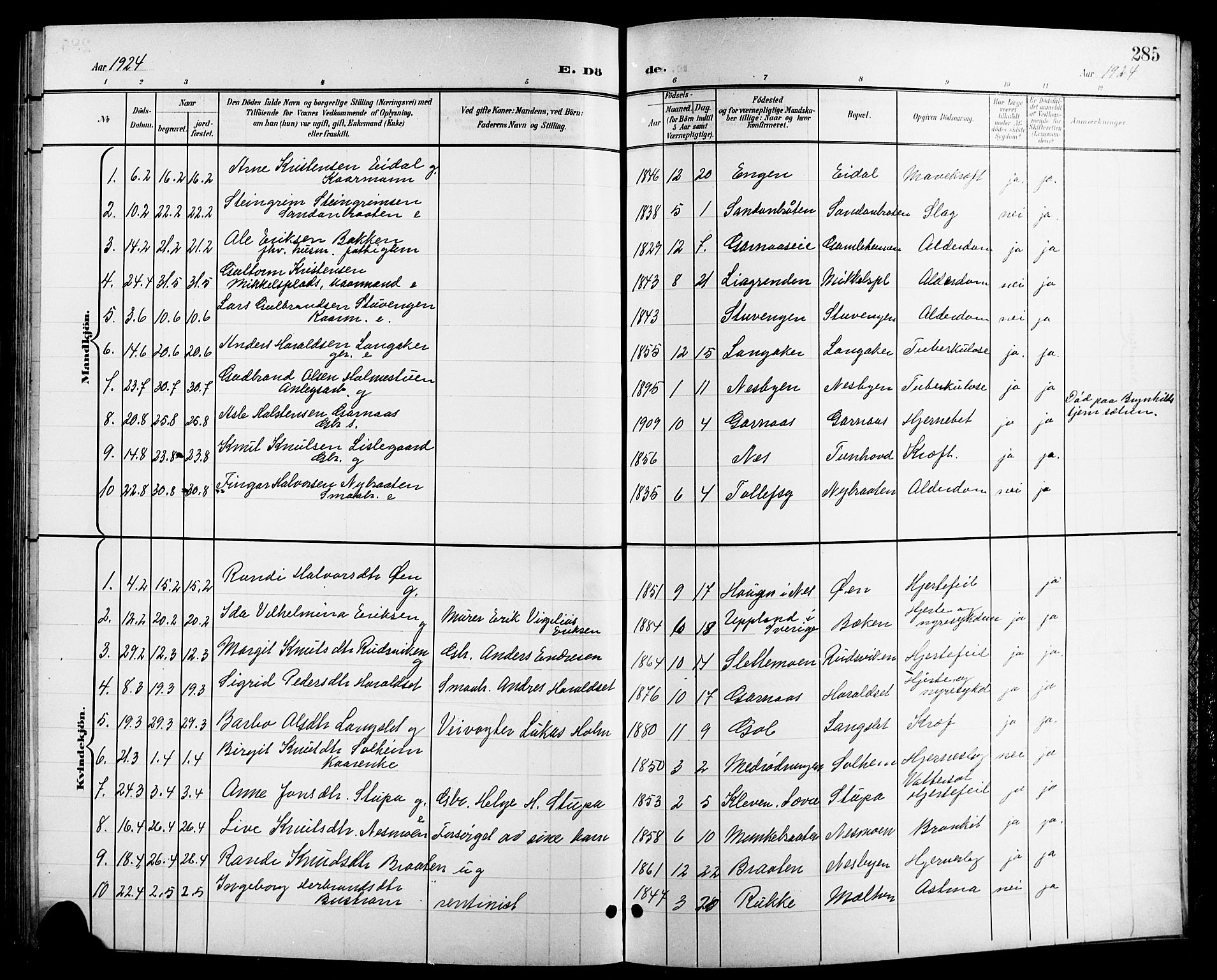 Nes kirkebøker, SAKO/A-236/G/Ga/L0004: Parish register (copy) no. I 4, 1900-1925, p. 285