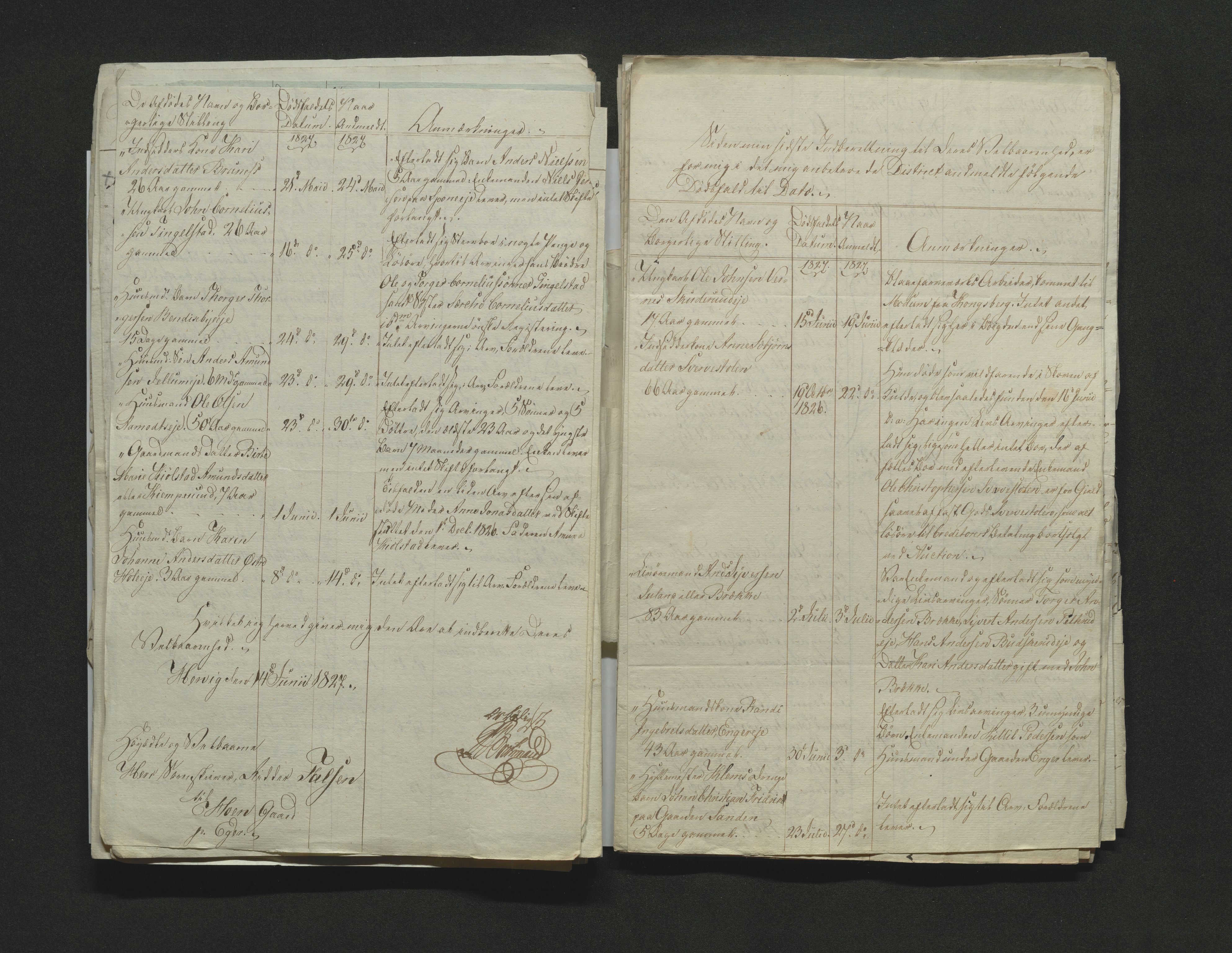 Eiker, Modum og Sigdal sorenskriveri, AV/SAKO-A-123/H/Ha/Hab/L0002: Dødsfallsmeldinger, 1823-1829, p. 197