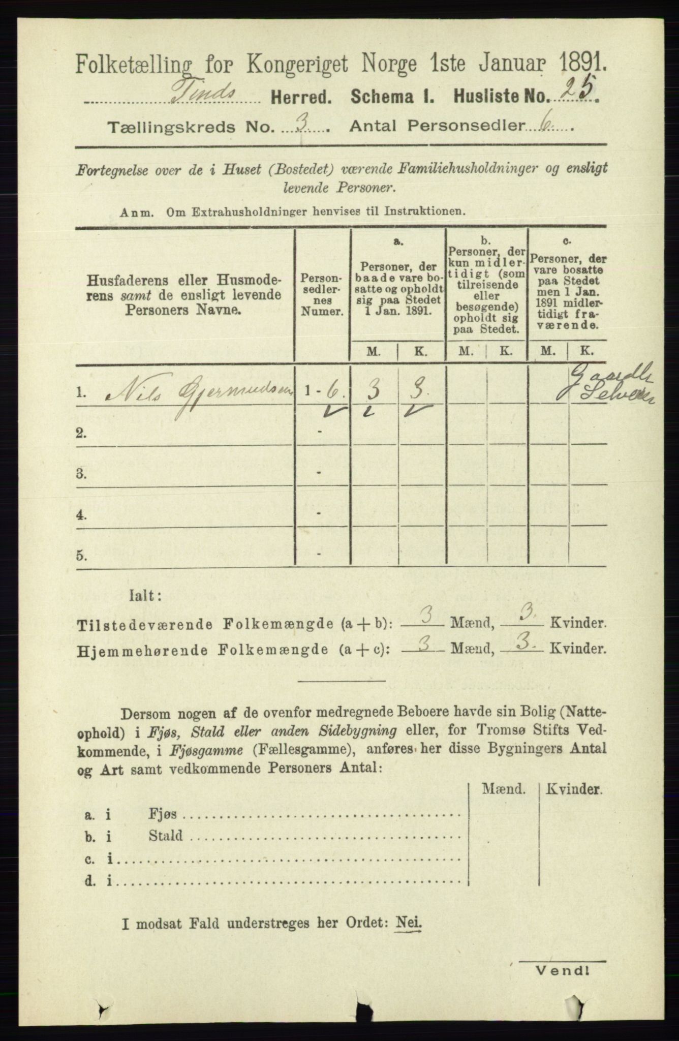 RA, 1891 census for 0826 Tinn, 1891, p. 494