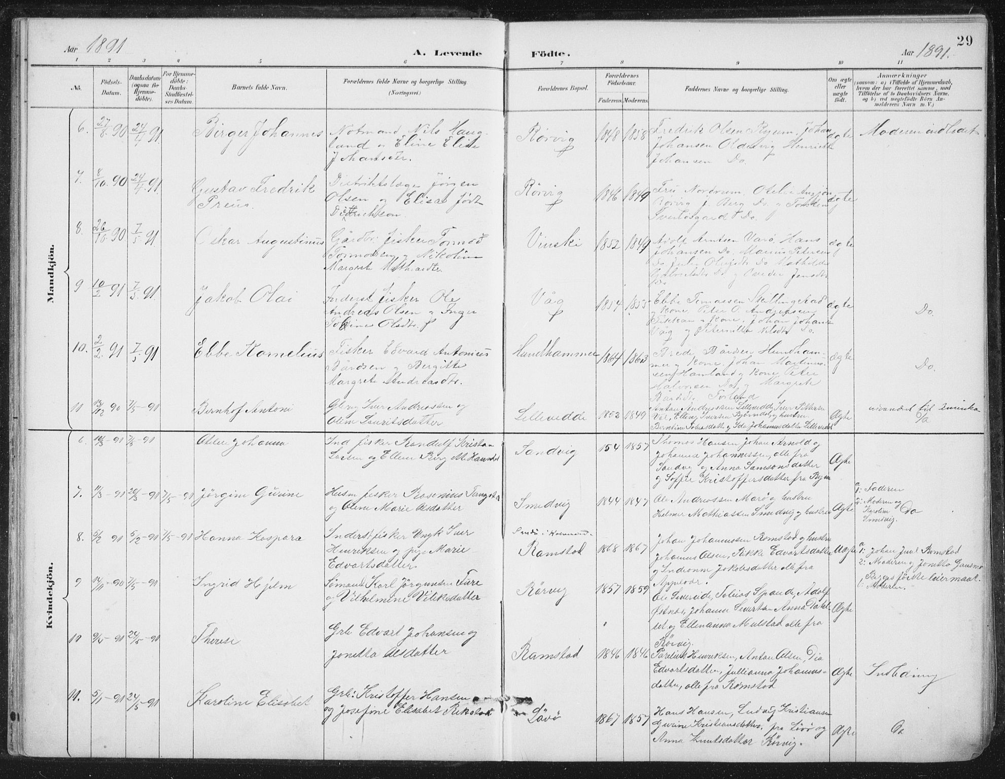 Ministerialprotokoller, klokkerbøker og fødselsregistre - Nord-Trøndelag, SAT/A-1458/784/L0673: Parish register (official) no. 784A08, 1888-1899, p. 29