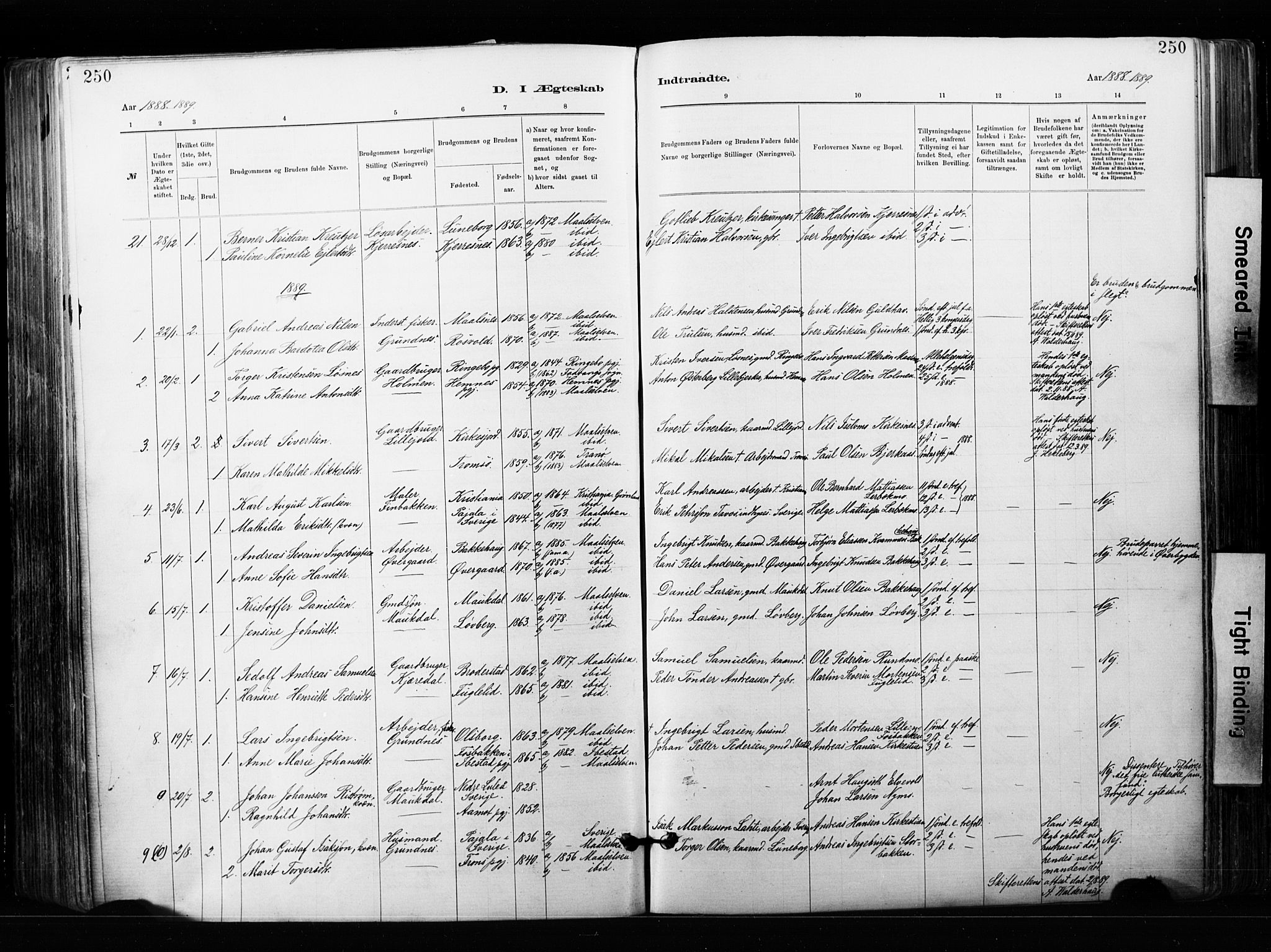 Målselv sokneprestembete, SATØ/S-1311/G/Ga/Gaa/L0007kirke: Parish register (official) no. 7, 1884-1903, p. 250