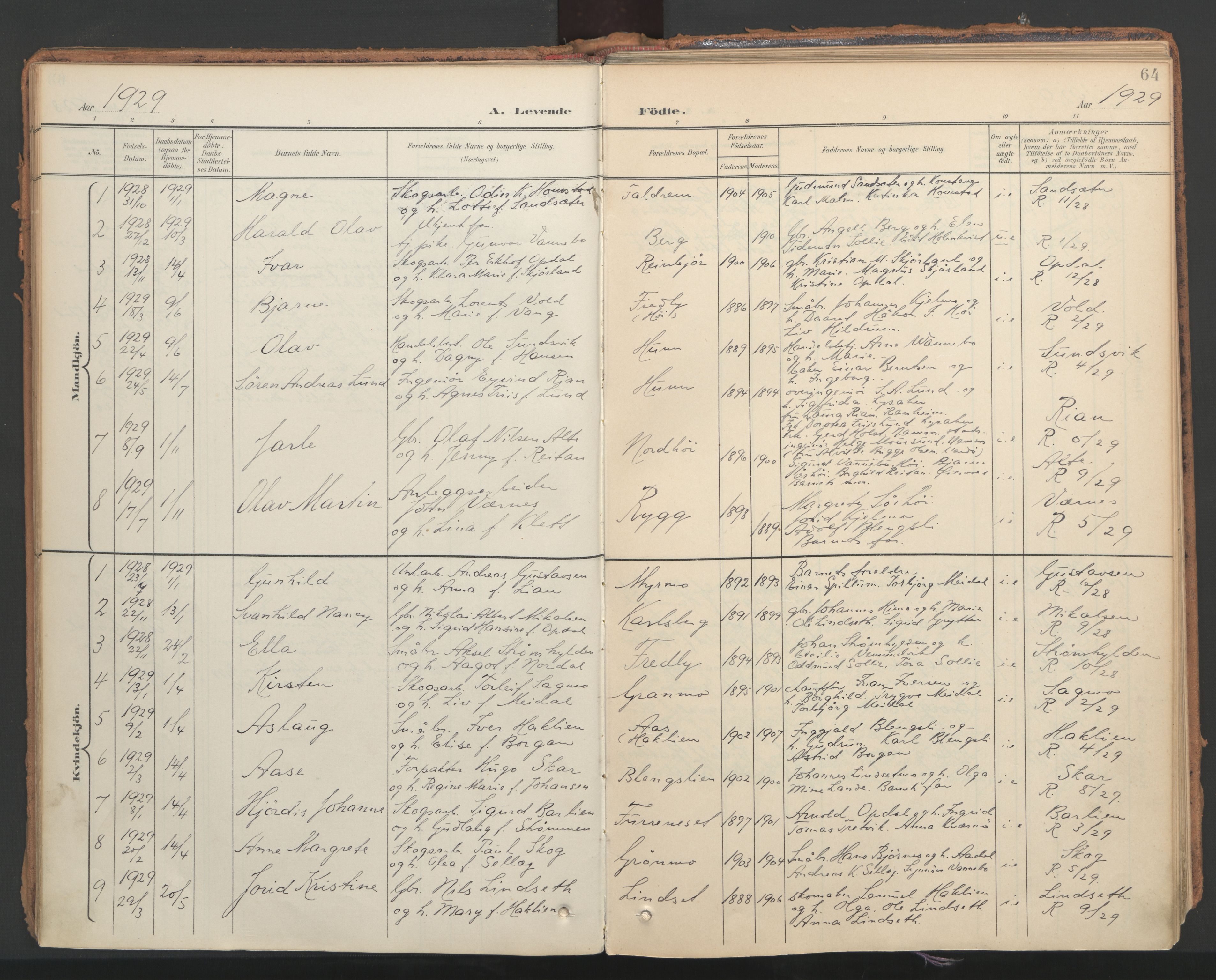 Ministerialprotokoller, klokkerbøker og fødselsregistre - Nord-Trøndelag, SAT/A-1458/766/L0564: Parish register (official) no. 767A02, 1900-1932, p. 64