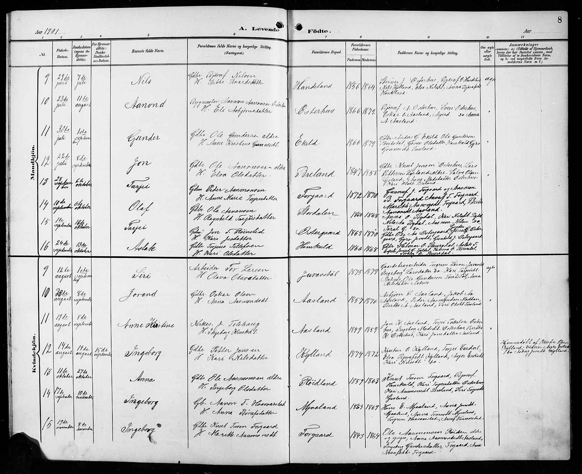 Åseral sokneprestkontor, AV/SAK-1111-0051/F/Fb/L0003: Parish register (copy) no. B 3, 1900-1919, p. 8