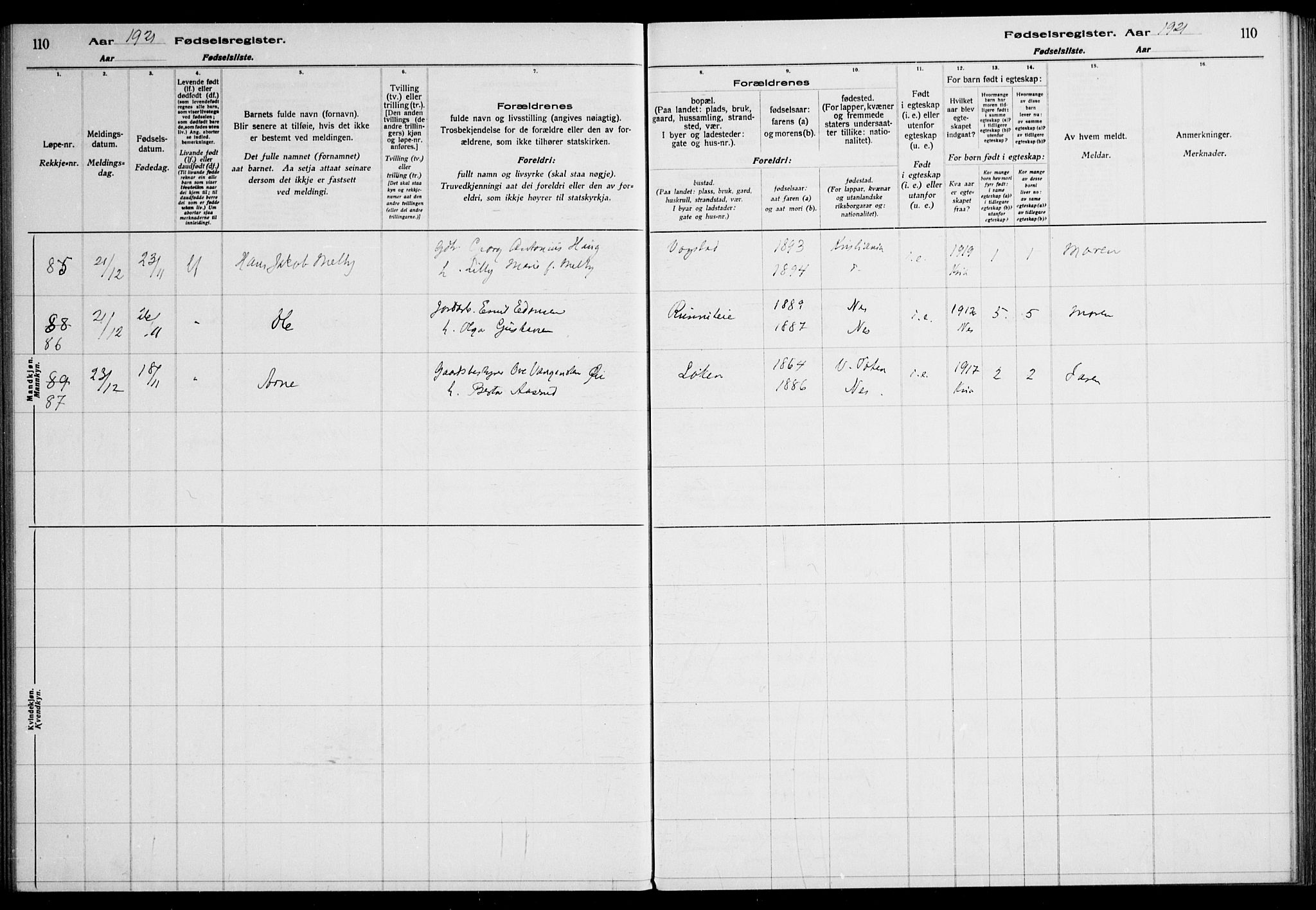 Nes prestekontor Kirkebøker, AV/SAO-A-10410/J/Ja/L0001: Birth register no. 1, 1916-1926, p. 110