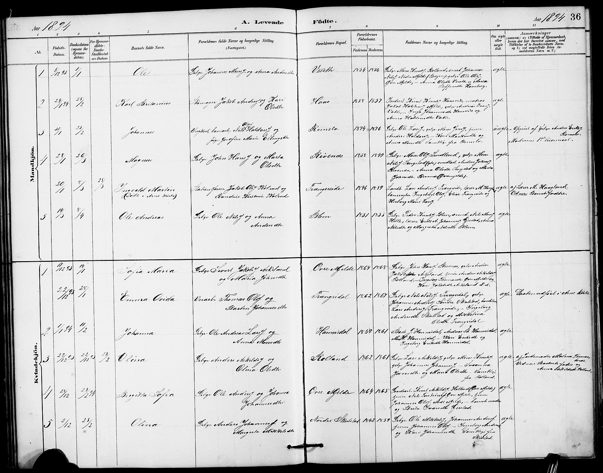 Haus sokneprestembete, SAB/A-75601/H/Hab: Parish register (copy) no. B 3, 1885-1899, p. 36