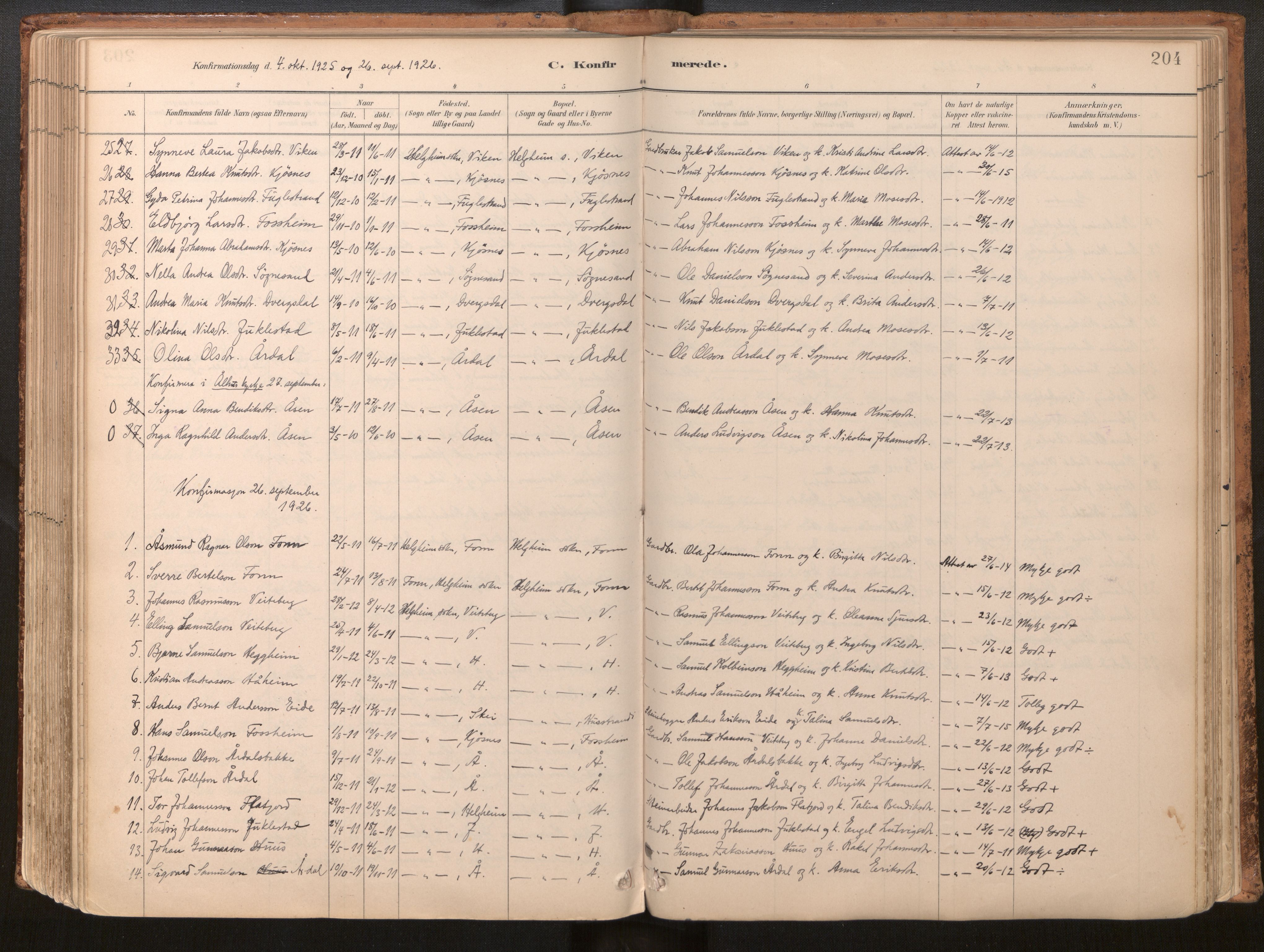 Jølster sokneprestembete, SAB/A-80701/H/Haa/Haac/L0001: Parish register (official) no. C 1, 1882-1928, p. 204