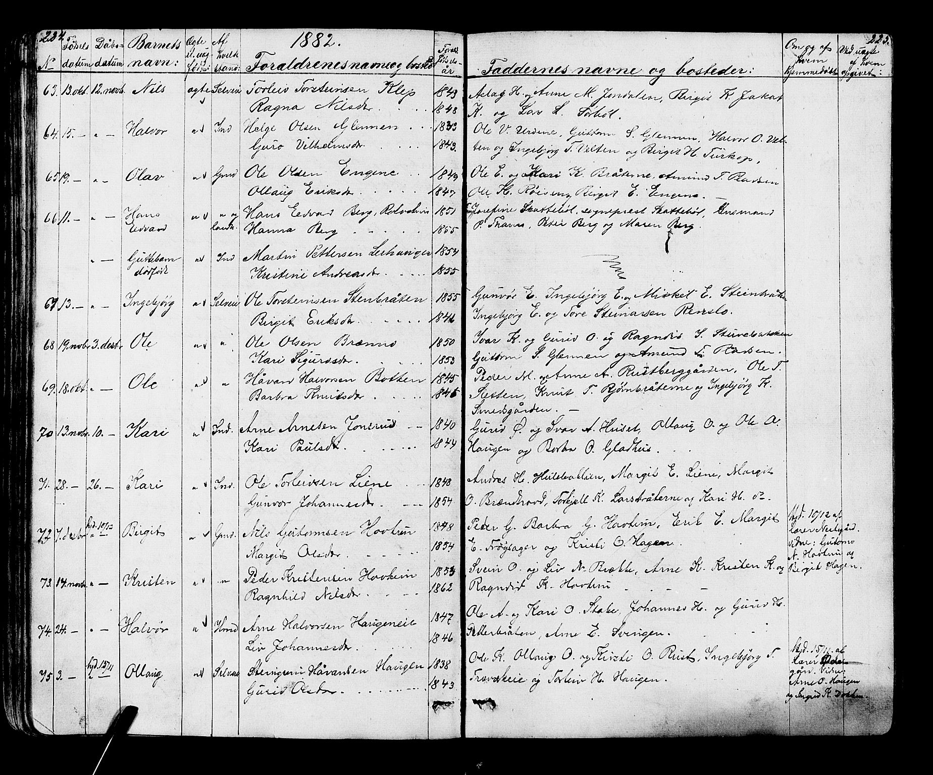 Gol kirkebøker, AV/SAKO-A-226/G/Ga/L0002: Parish register (copy) no. I 2, 1860-1887, p. 224-225