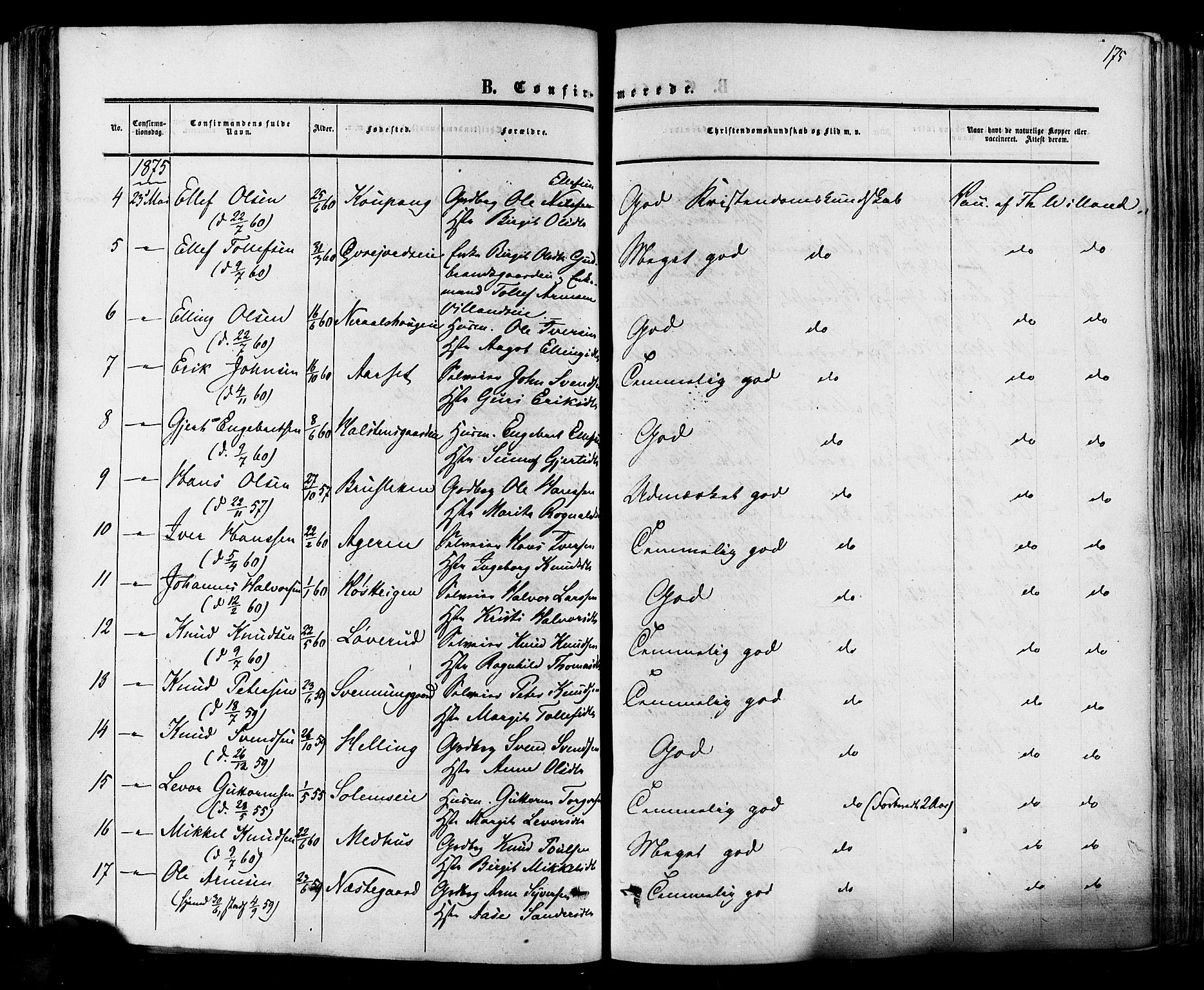 Hol kirkebøker, SAKO/A-227/F/Fa/L0002: Parish register (official) no. I 2, 1870-1886, p. 175