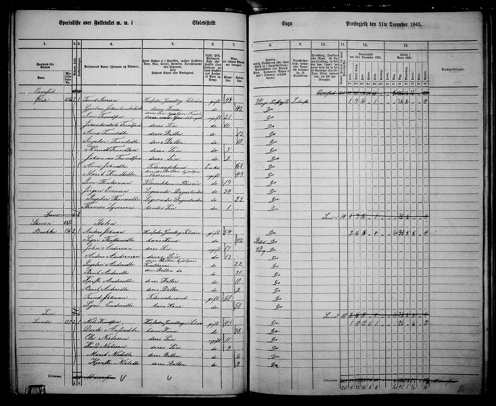 RA, 1865 census for Vang, 1865, p. 91