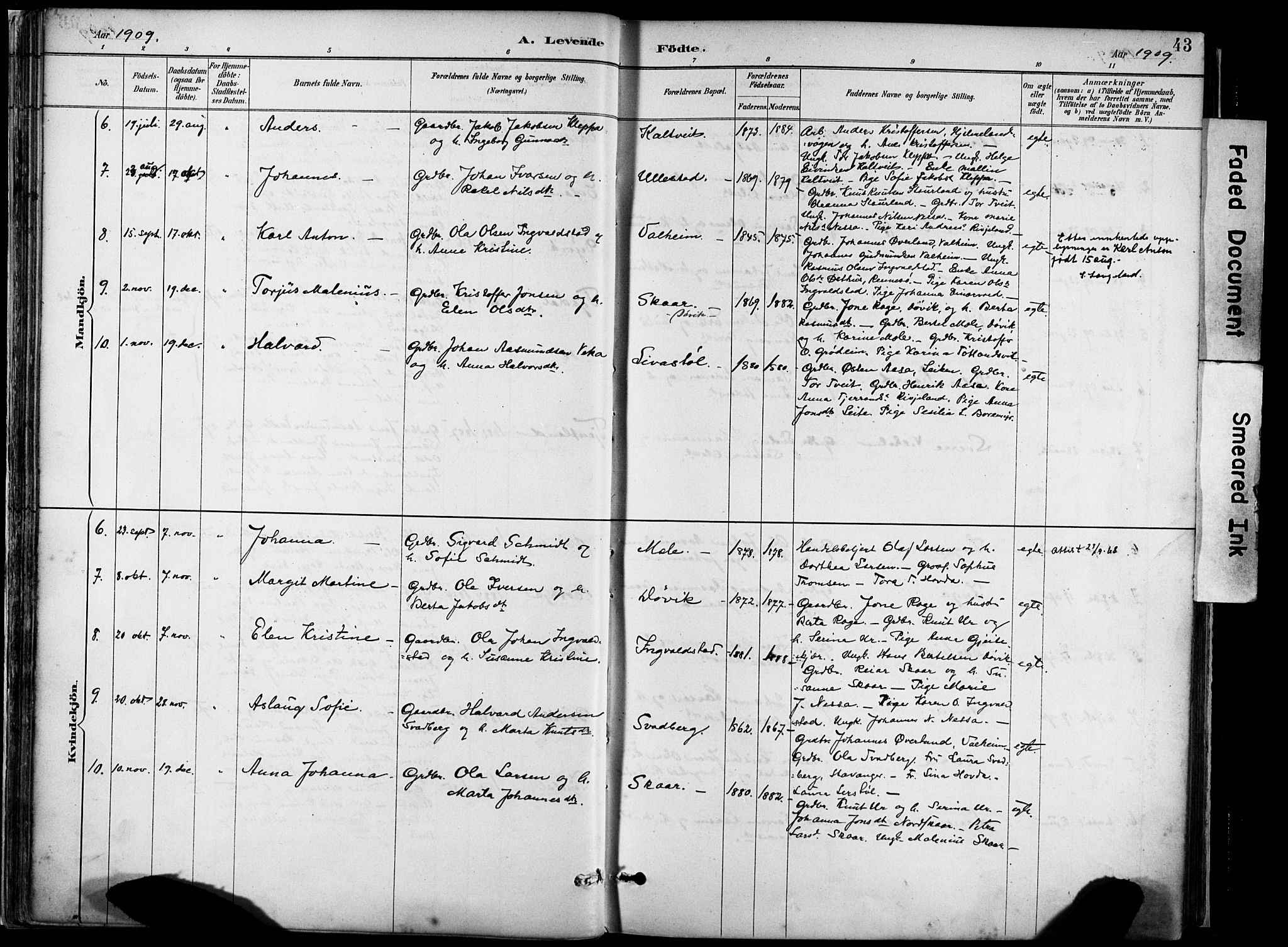 Hjelmeland sokneprestkontor, AV/SAST-A-101843/02/A/L0001: Parish register (official) no. A 16, 1887-1926, p. 43