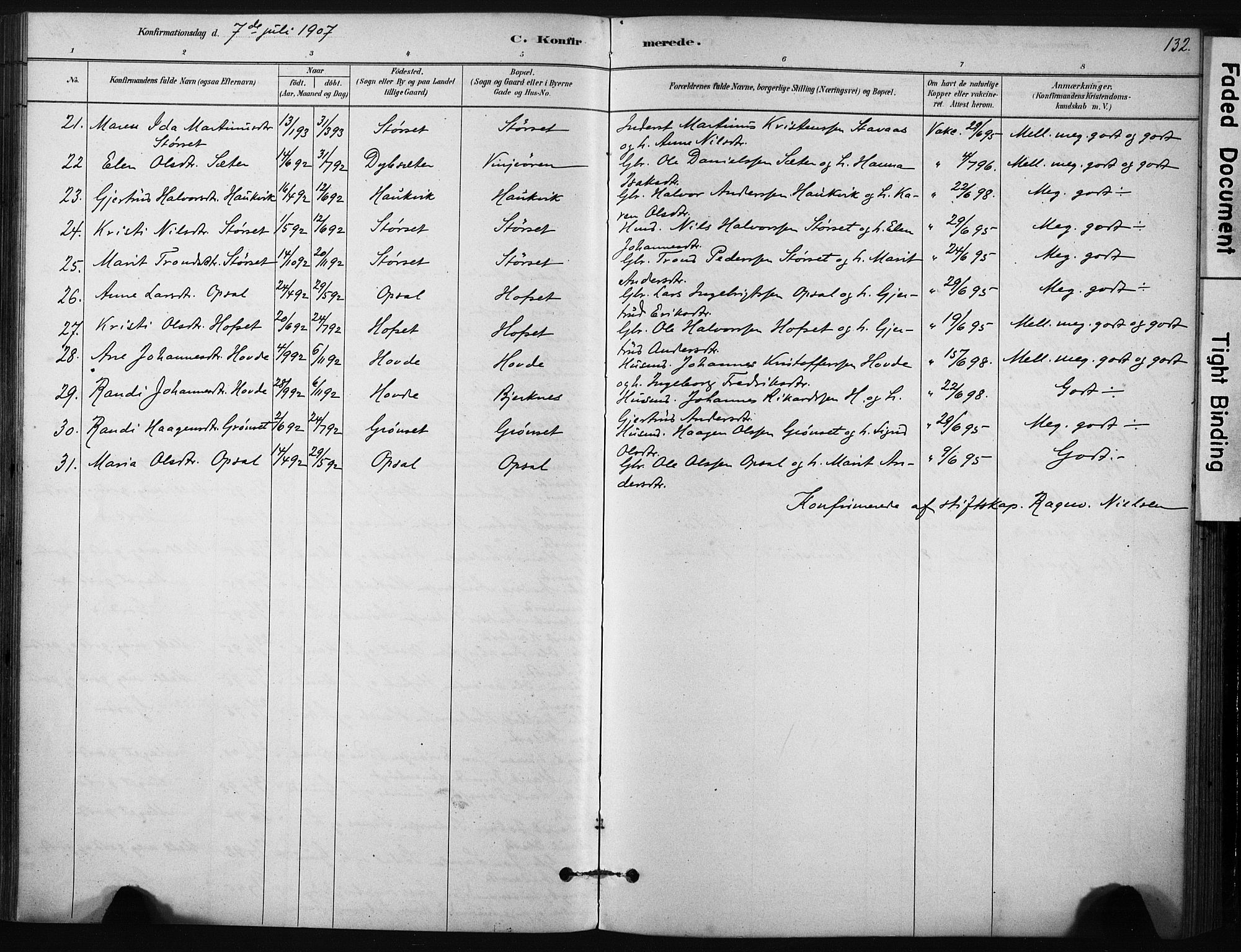 Ministerialprotokoller, klokkerbøker og fødselsregistre - Sør-Trøndelag, AV/SAT-A-1456/631/L0512: Parish register (official) no. 631A01, 1879-1912, p. 132