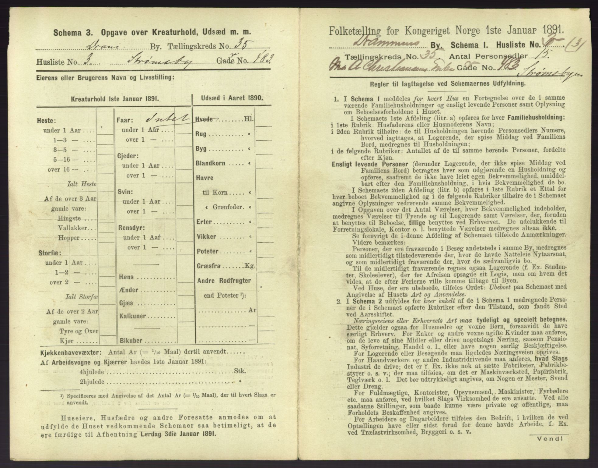 RA, 1891 census for 0602 Drammen, 1891, p. 3113