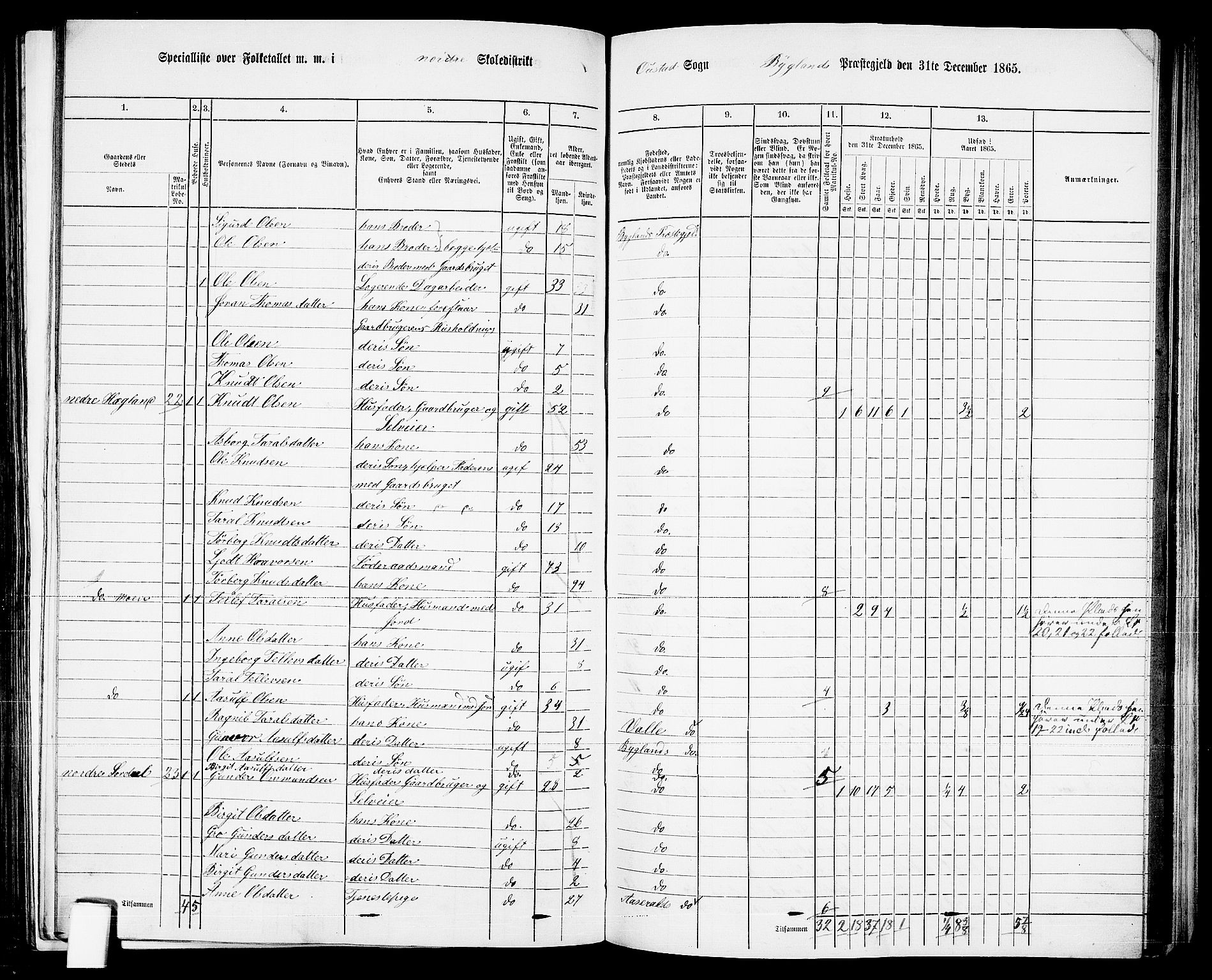 RA, 1865 census for Bygland, 1865, p. 12