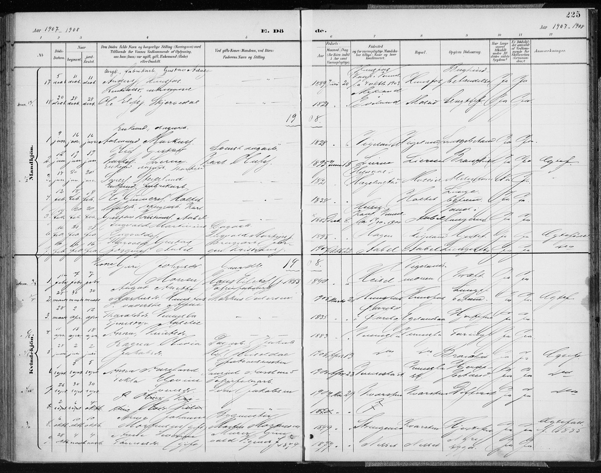 Vennesla sokneprestkontor, AV/SAK-1111-0045/Fa/Fab/L0005: Parish register (official) no. A 5, 1897-1909, p. 225