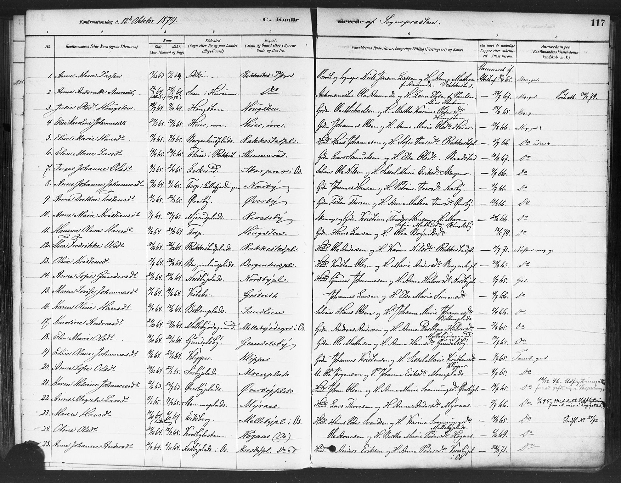 Rakkestad prestekontor Kirkebøker, SAO/A-2008/F/Fa/L0012: Parish register (official) no. I 12, 1878-1893, p. 117