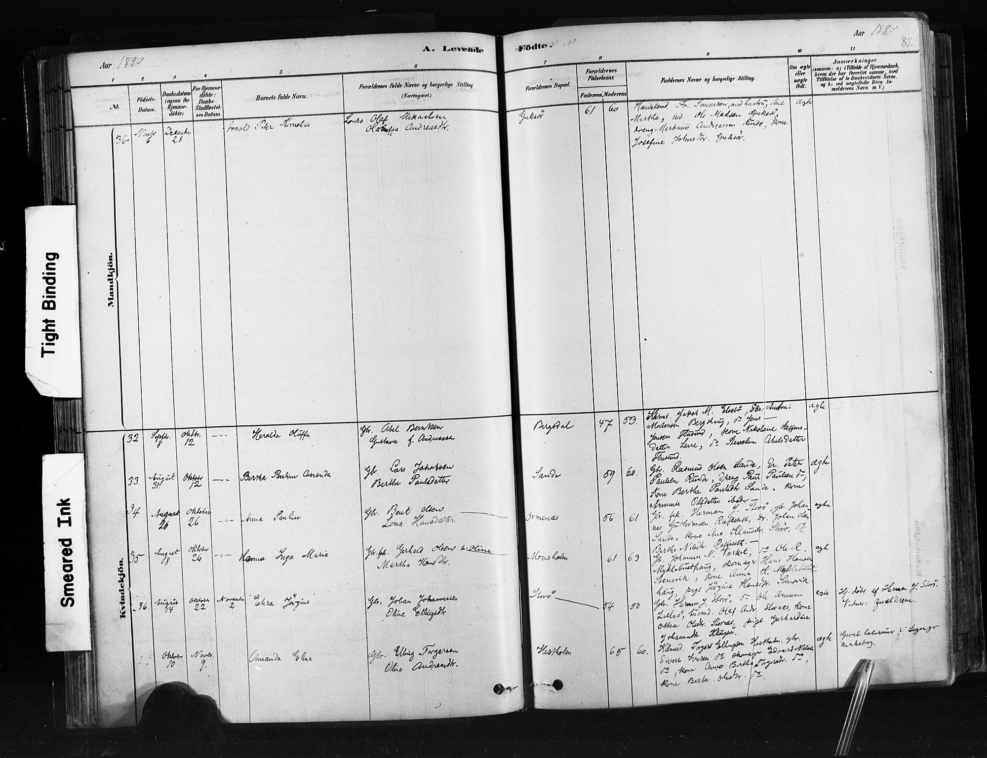 Ministerialprotokoller, klokkerbøker og fødselsregistre - Møre og Romsdal, AV/SAT-A-1454/507/L0073: Parish register (official) no. 507A08, 1878-1904, p. 85