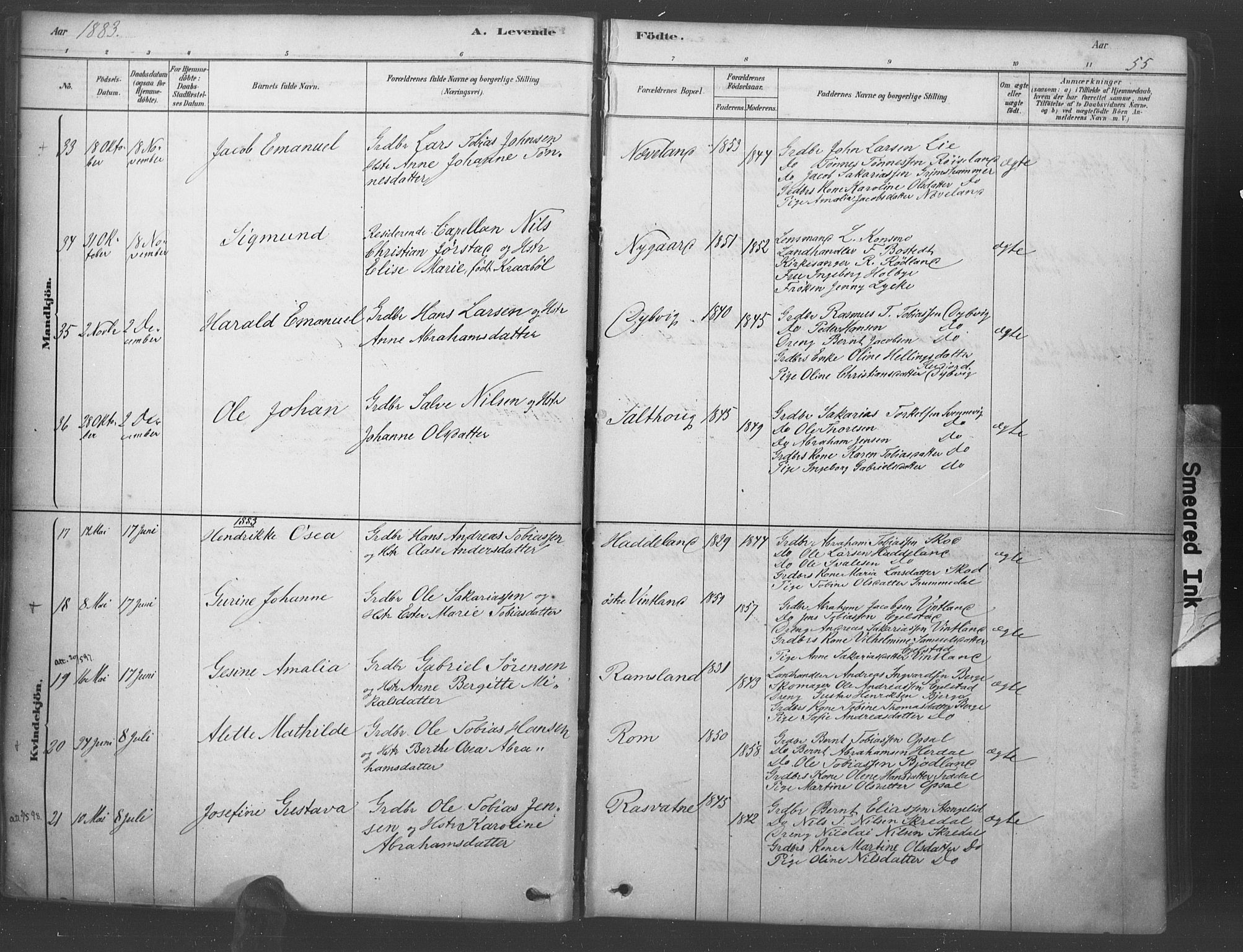 Lyngdal sokneprestkontor, AV/SAK-1111-0029/F/Fa/Fac/L0011: Parish register (official) no. A 11, 1878-1893, p. 55