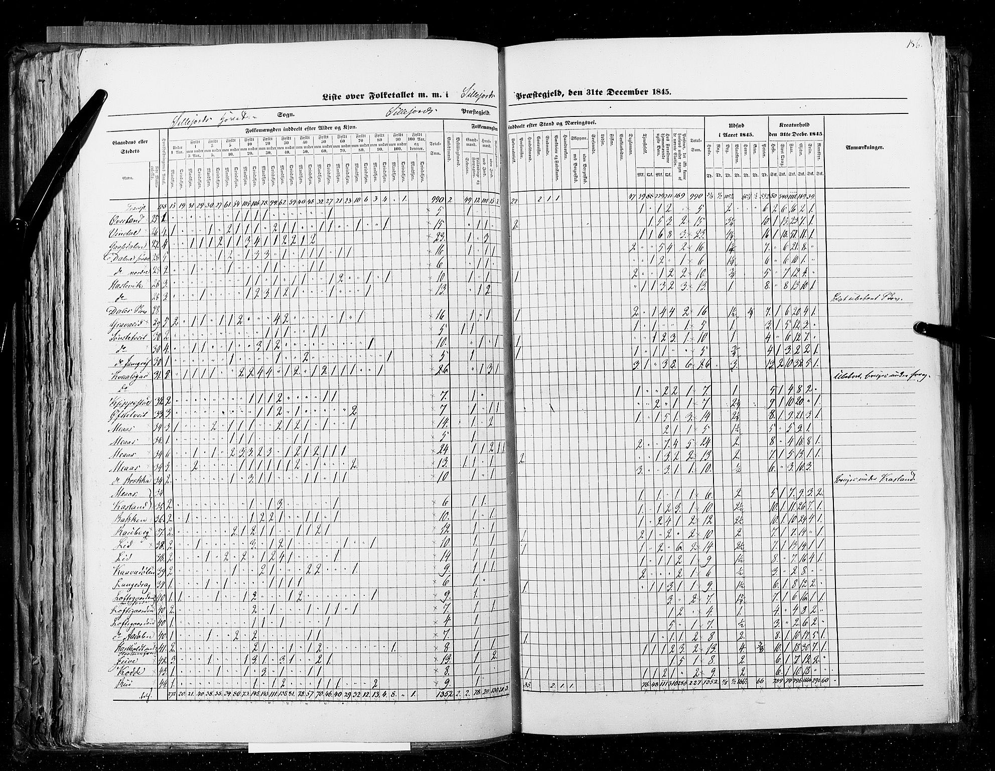 RA, Census 1845, vol. 5: Bratsberg amt og Nedenes og Råbyggelaget amt, 1845, p. 156