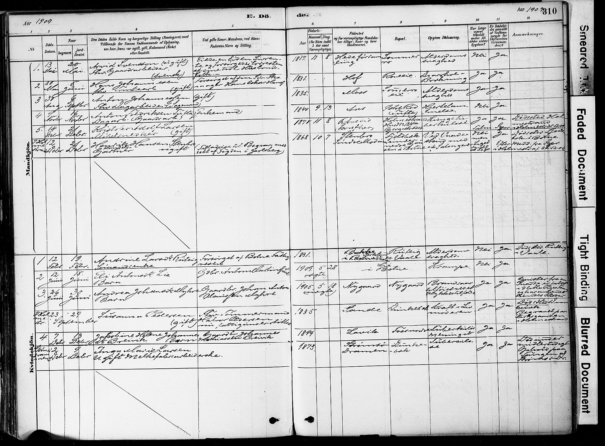 Botne kirkebøker, SAKO/A-340/F/Fa/L0007: Parish register (official) no. I 7, 1878-1910, p. 310
