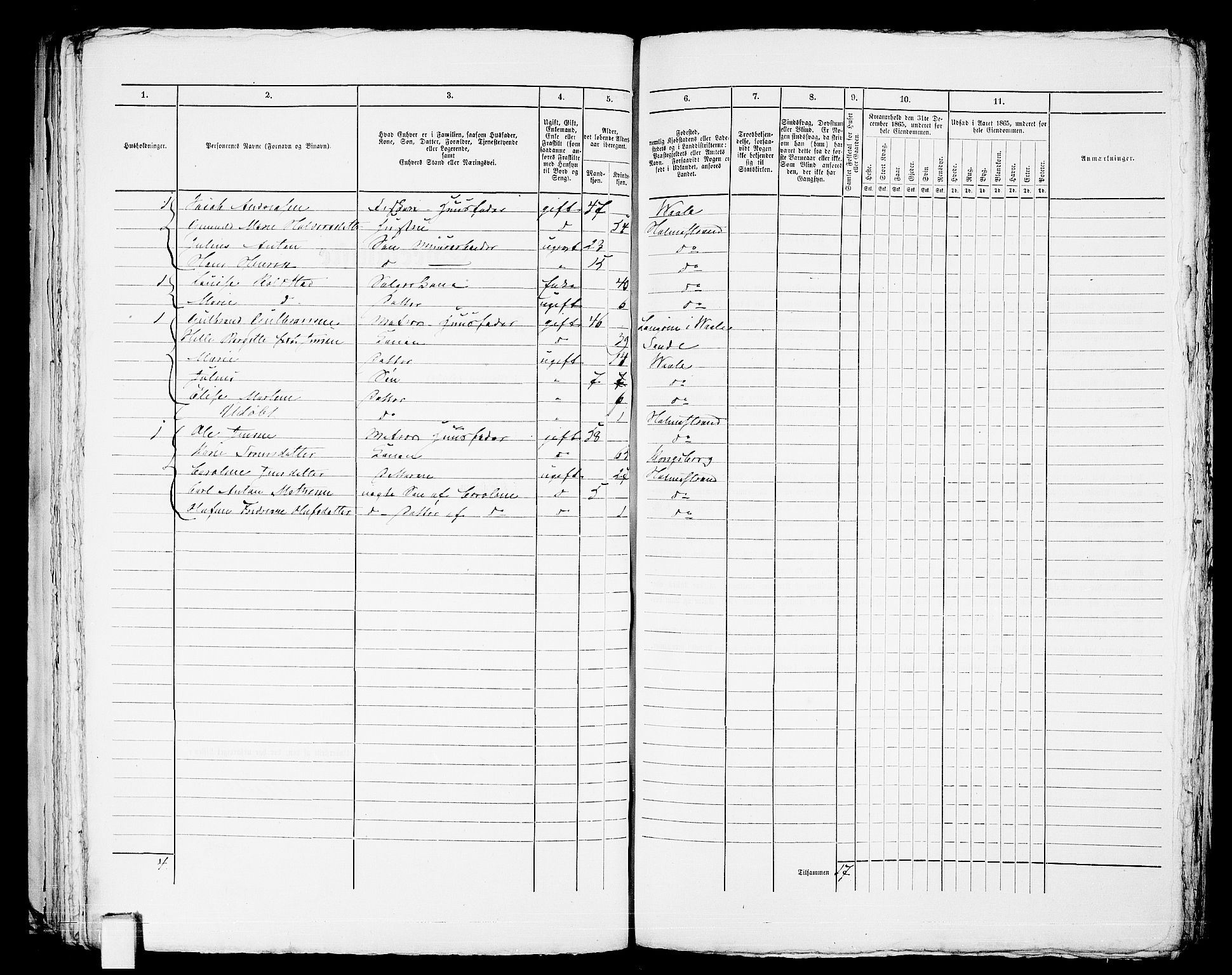 RA, 1865 census for Botne/Holmestrand, 1865, p. 160