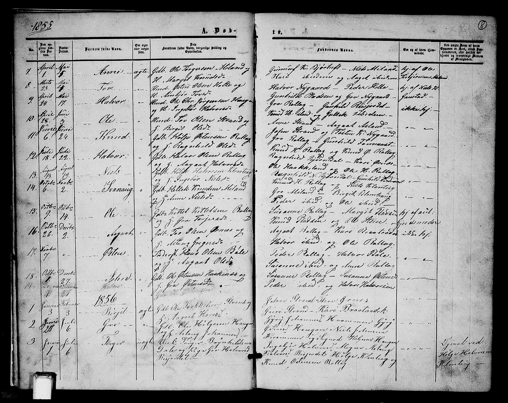 Tinn kirkebøker, SAKO/A-308/G/Gb/L0002: Parish register (copy) no. II 2, 1851-1886, p. 8