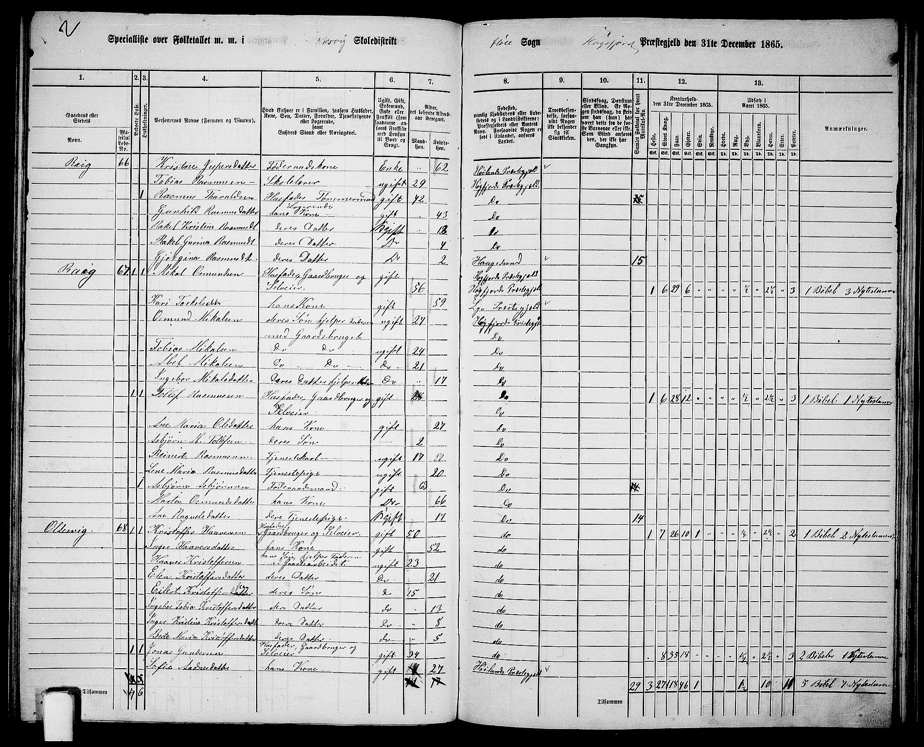 RA, 1865 census for Høgsfjord, 1865, p. 99