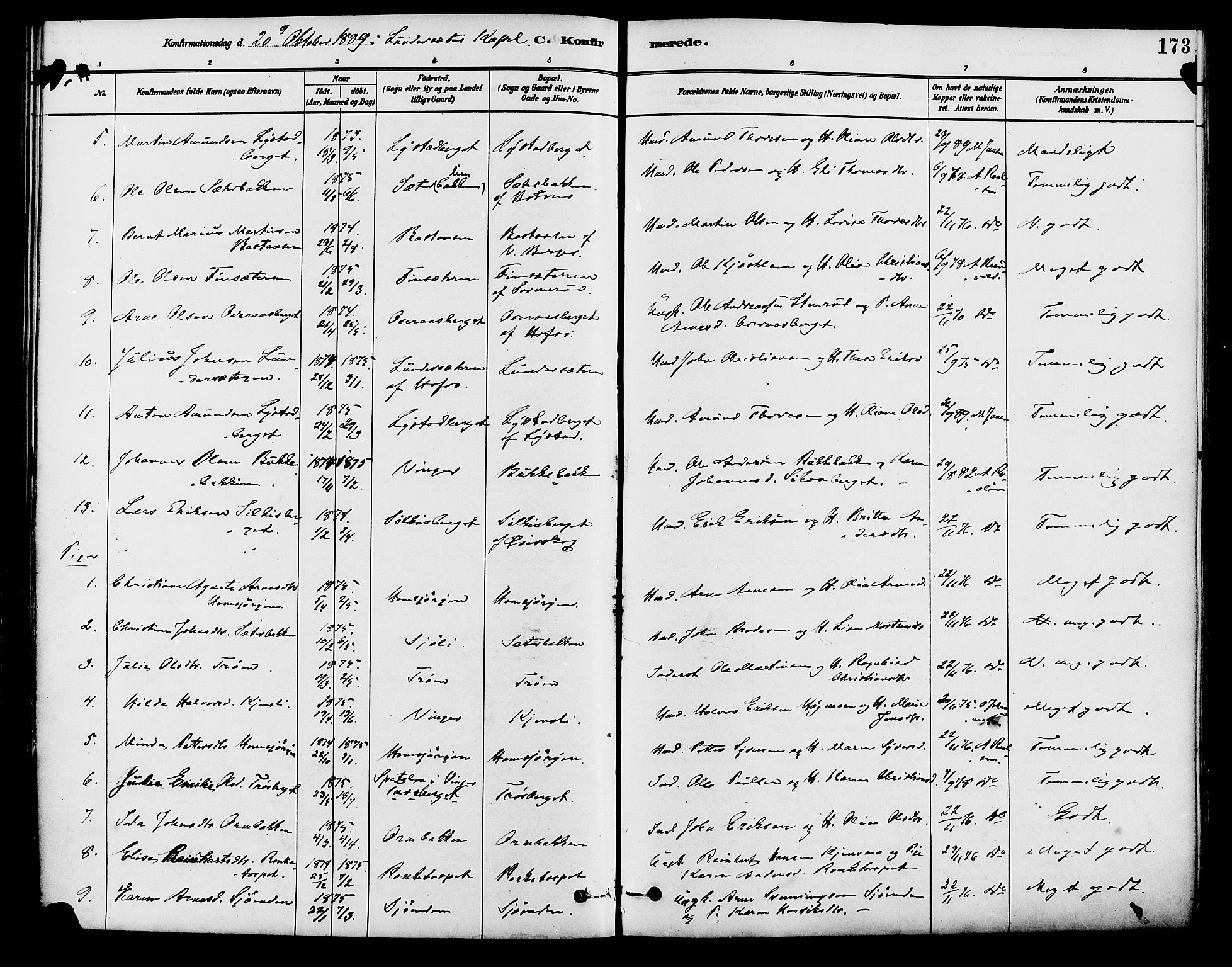 Brandval prestekontor, AV/SAH-PREST-034/H/Ha/Haa/L0002: Parish register (official) no. 2, 1880-1894, p. 173