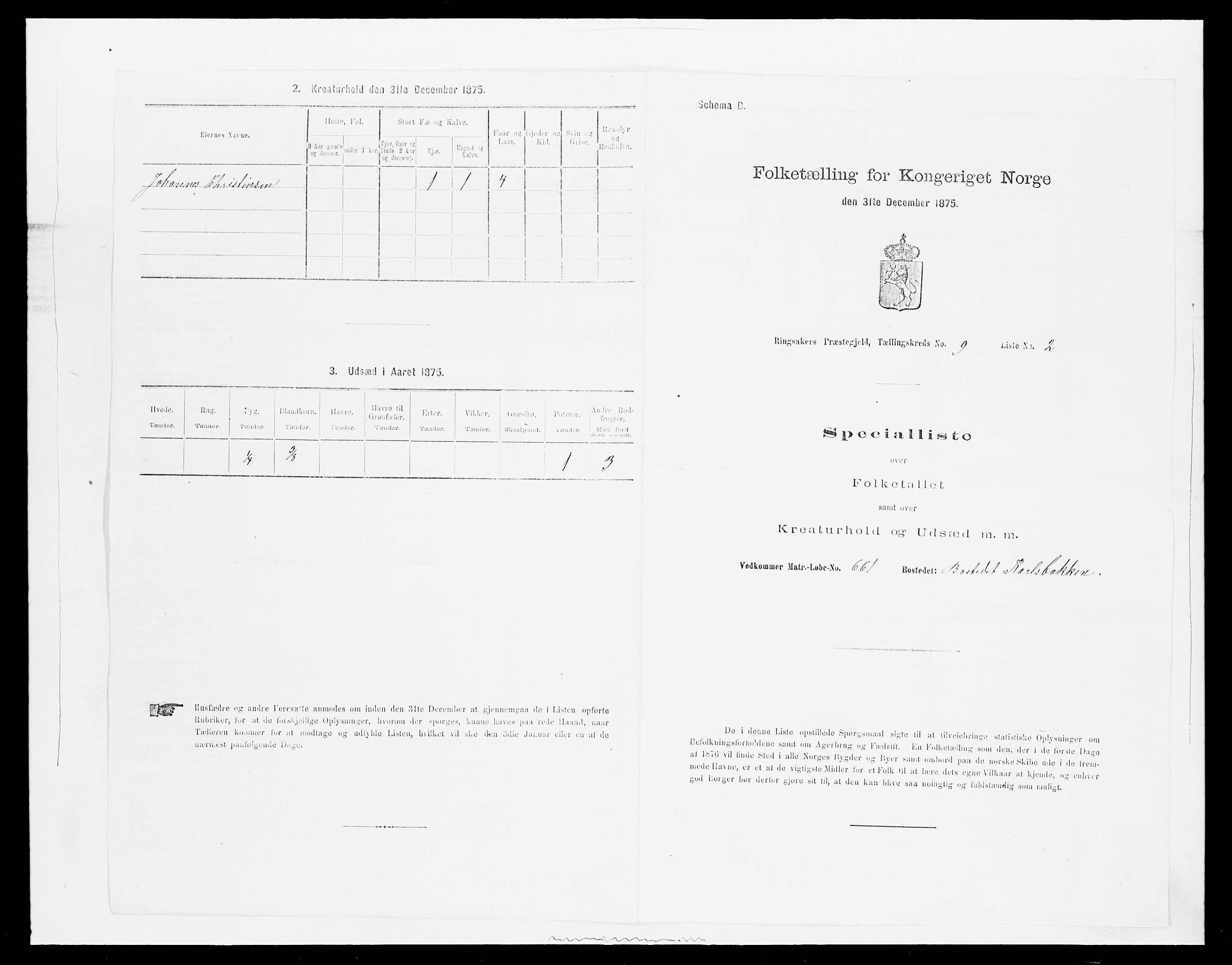 SAH, 1875 census for 0412P Ringsaker, 1875, p. 1795