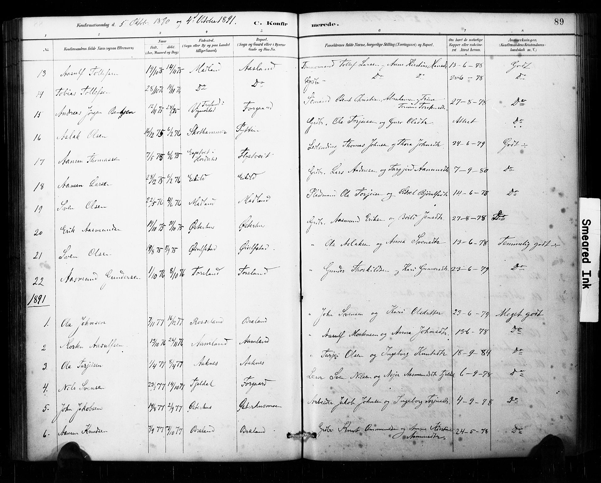 Åseral sokneprestkontor, AV/SAK-1111-0051/F/Fa/L0003: Parish register (official) no. A 3, 1884-1901, p. 89