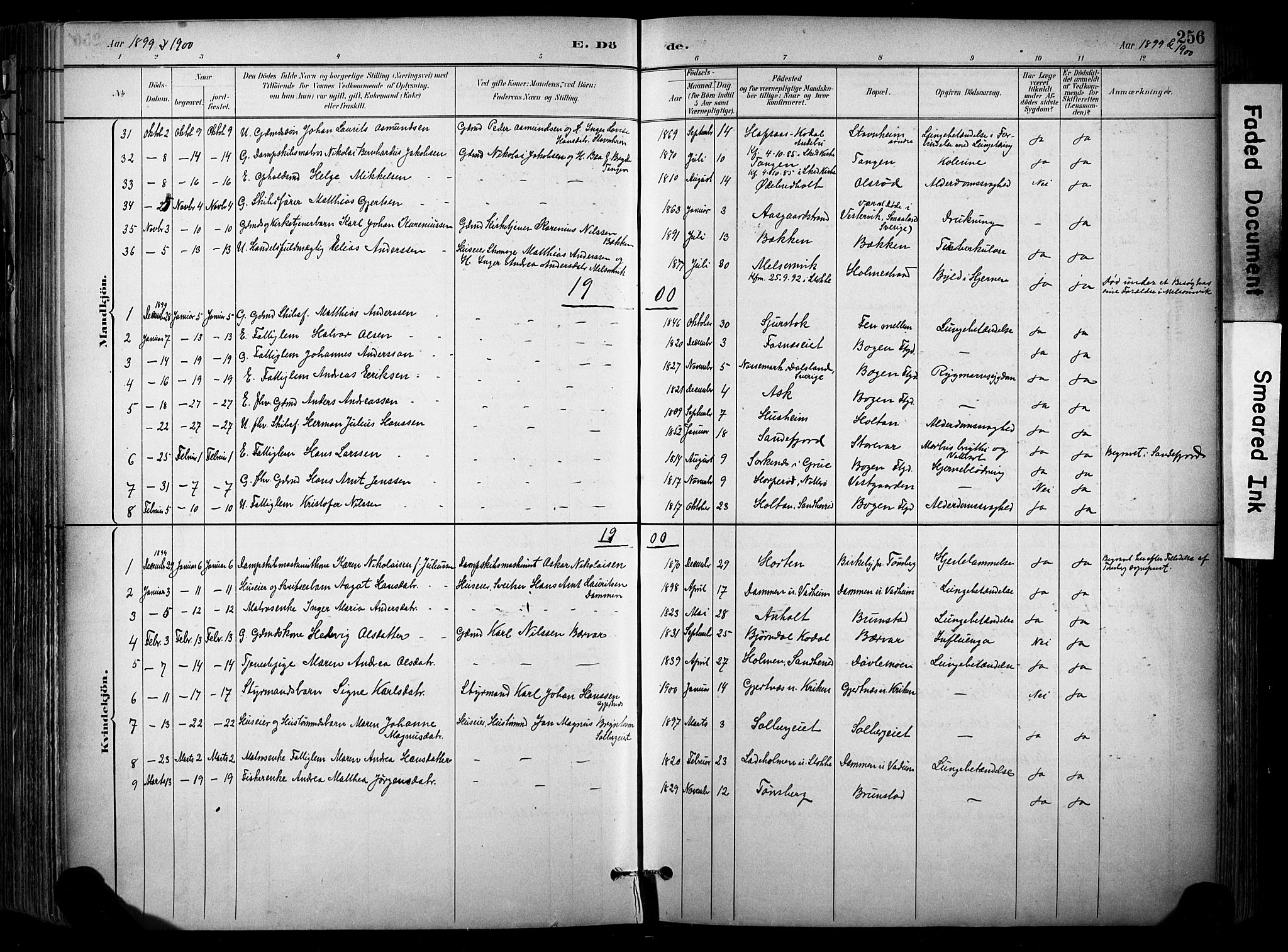 Stokke kirkebøker, SAKO/A-320/F/Fa/L0010: Parish register (official) no. I 10, 1884-1903, p. 256