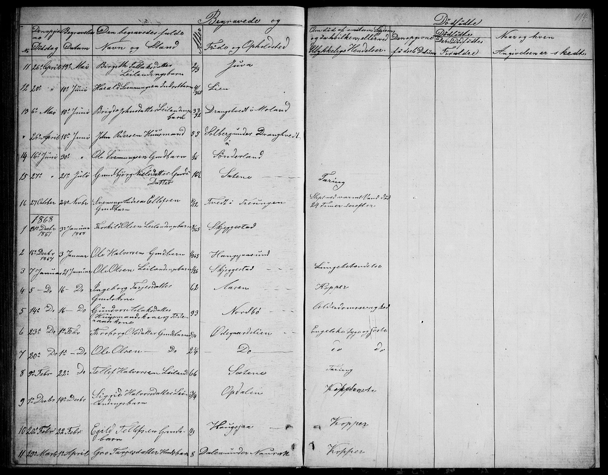 Nissedal kirkebøker, SAKO/A-288/G/Gb/L0002: Parish register (copy) no. II 2, 1863-1892, p. 114