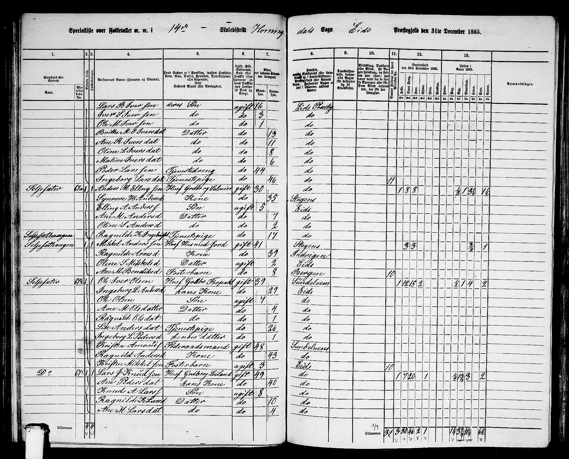 RA, 1865 census for Eid, 1865, p. 94