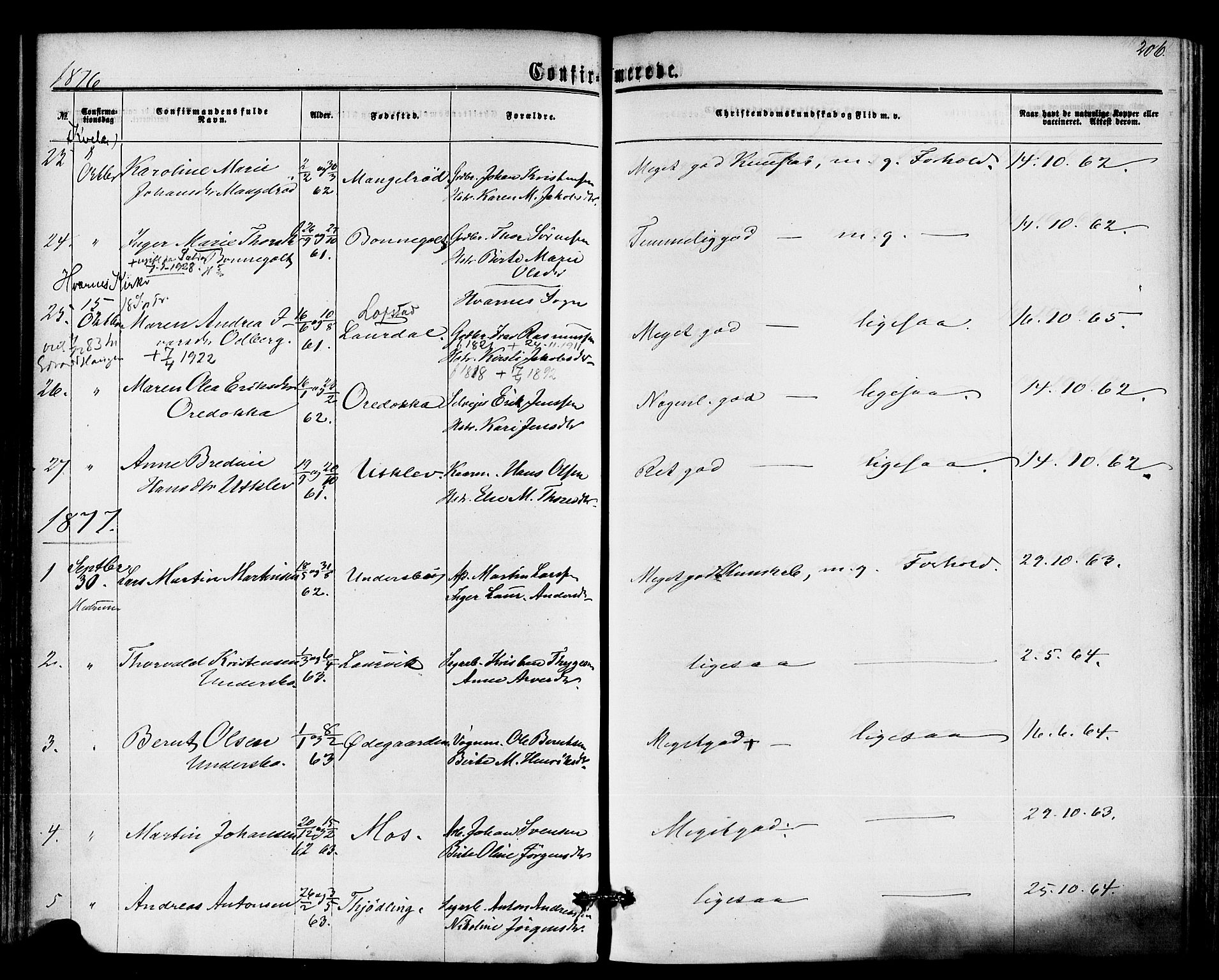 Hedrum kirkebøker, AV/SAKO-A-344/F/Fa/L0008: Parish register (official) no. I 8, 1869-1880, p. 206