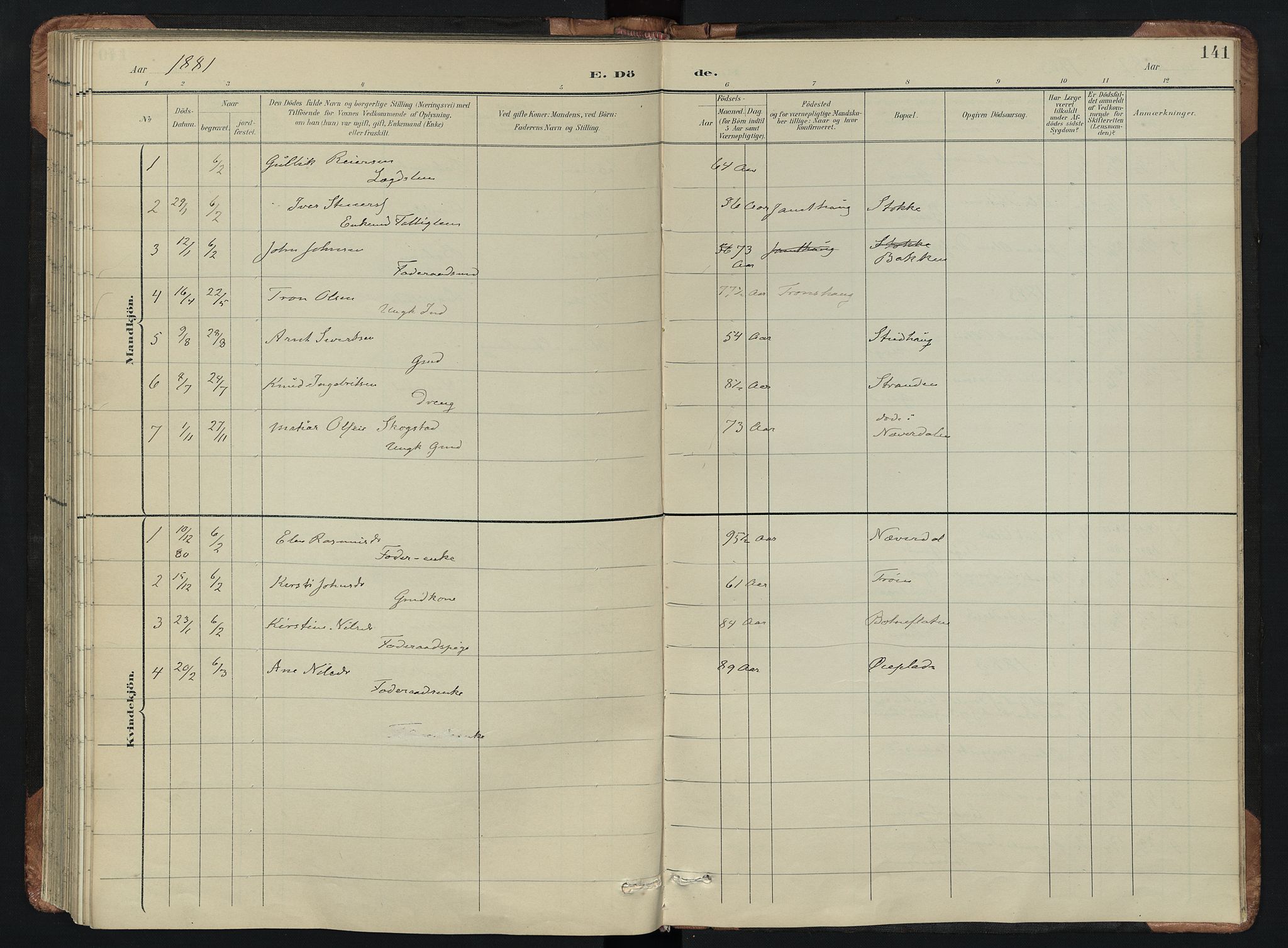 Kvikne prestekontor, AV/SAH-PREST-064/H/Ha/Hab/L0002: Parish register (copy) no. 2, 1859-1901, p. 141