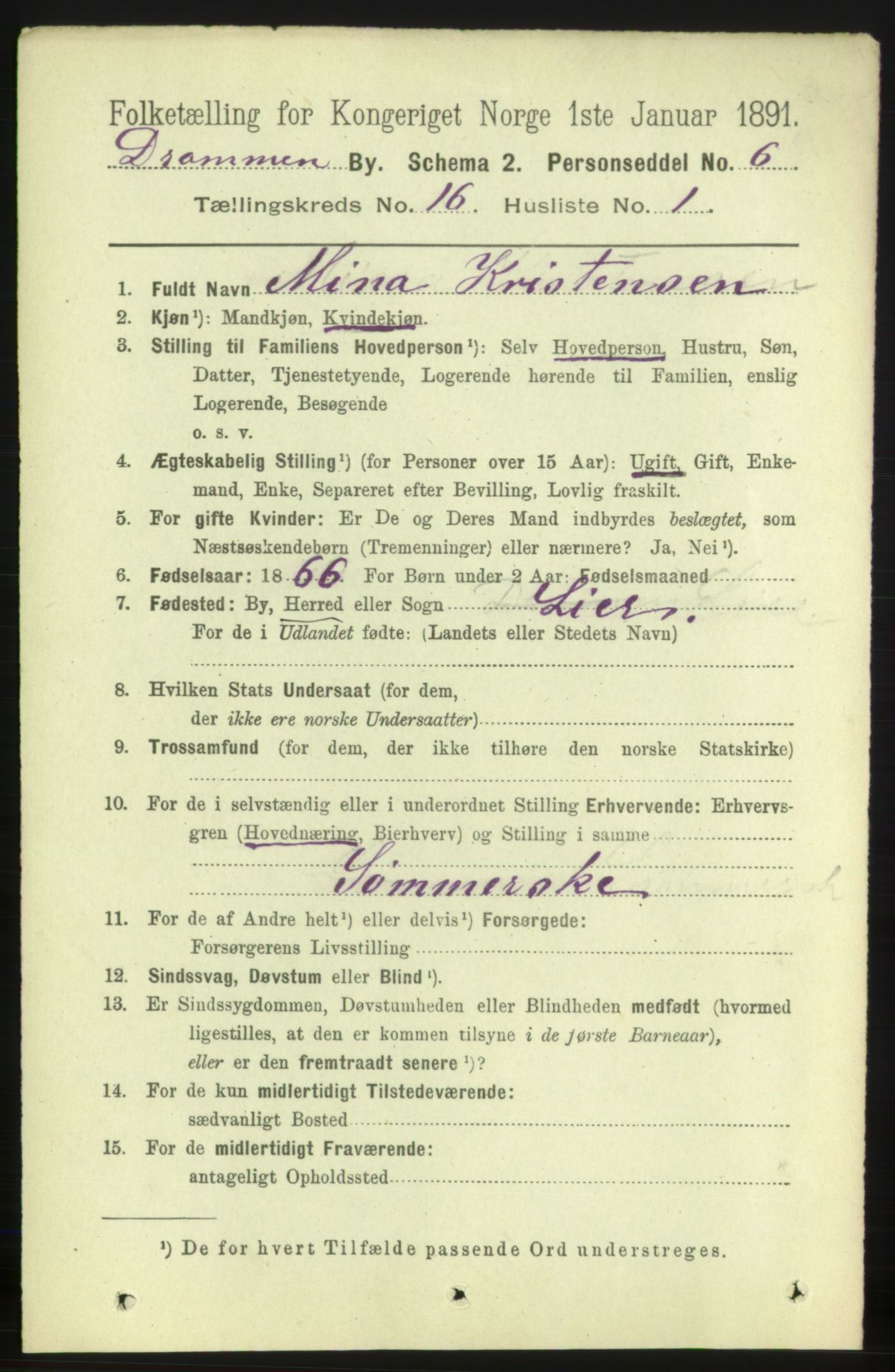 RA, 1891 census for 0602 Drammen, 1891, p. 10962