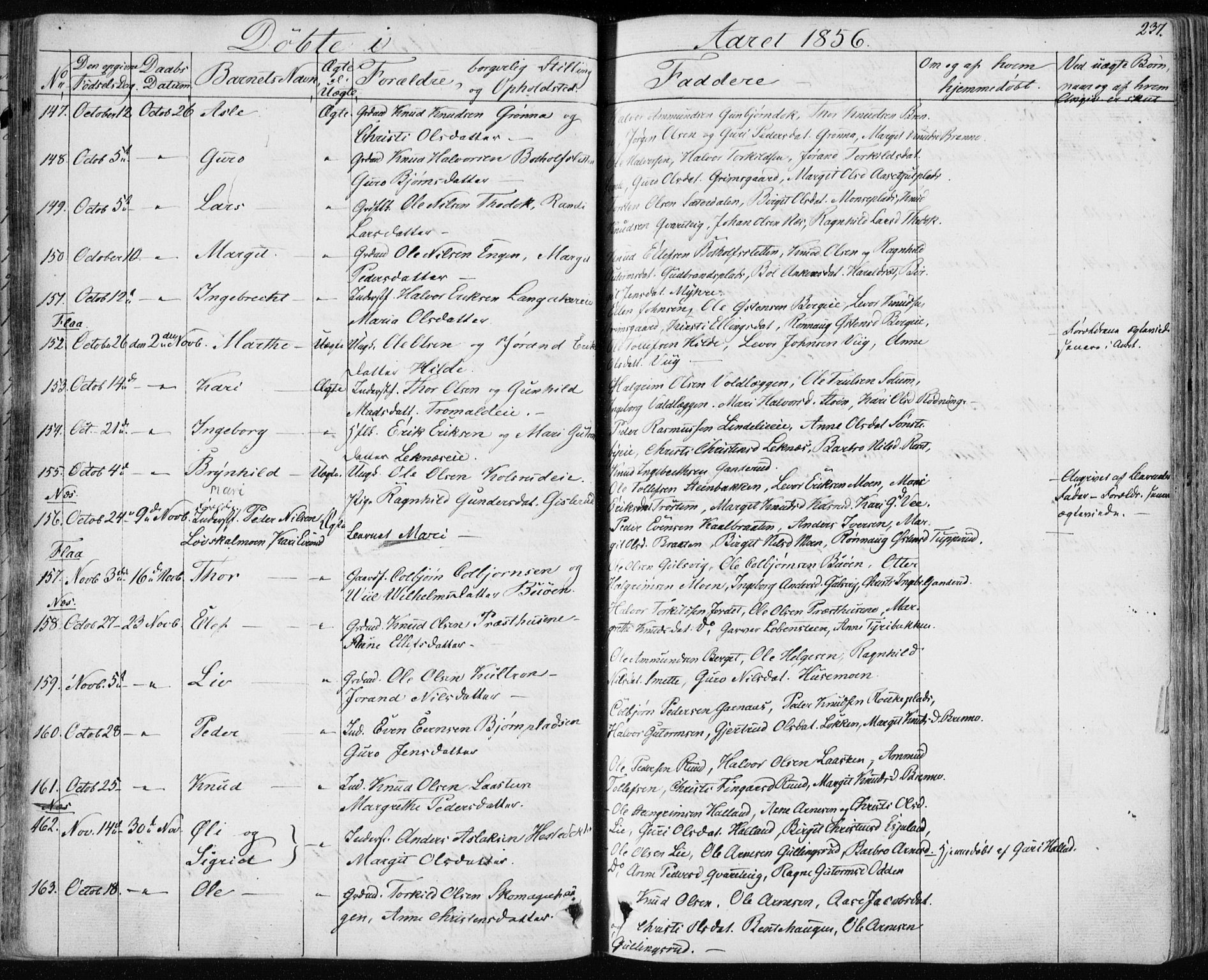 Nes kirkebøker, AV/SAKO-A-236/F/Fa/L0009: Parish register (official) no. 9, 1834-1863, p. 237