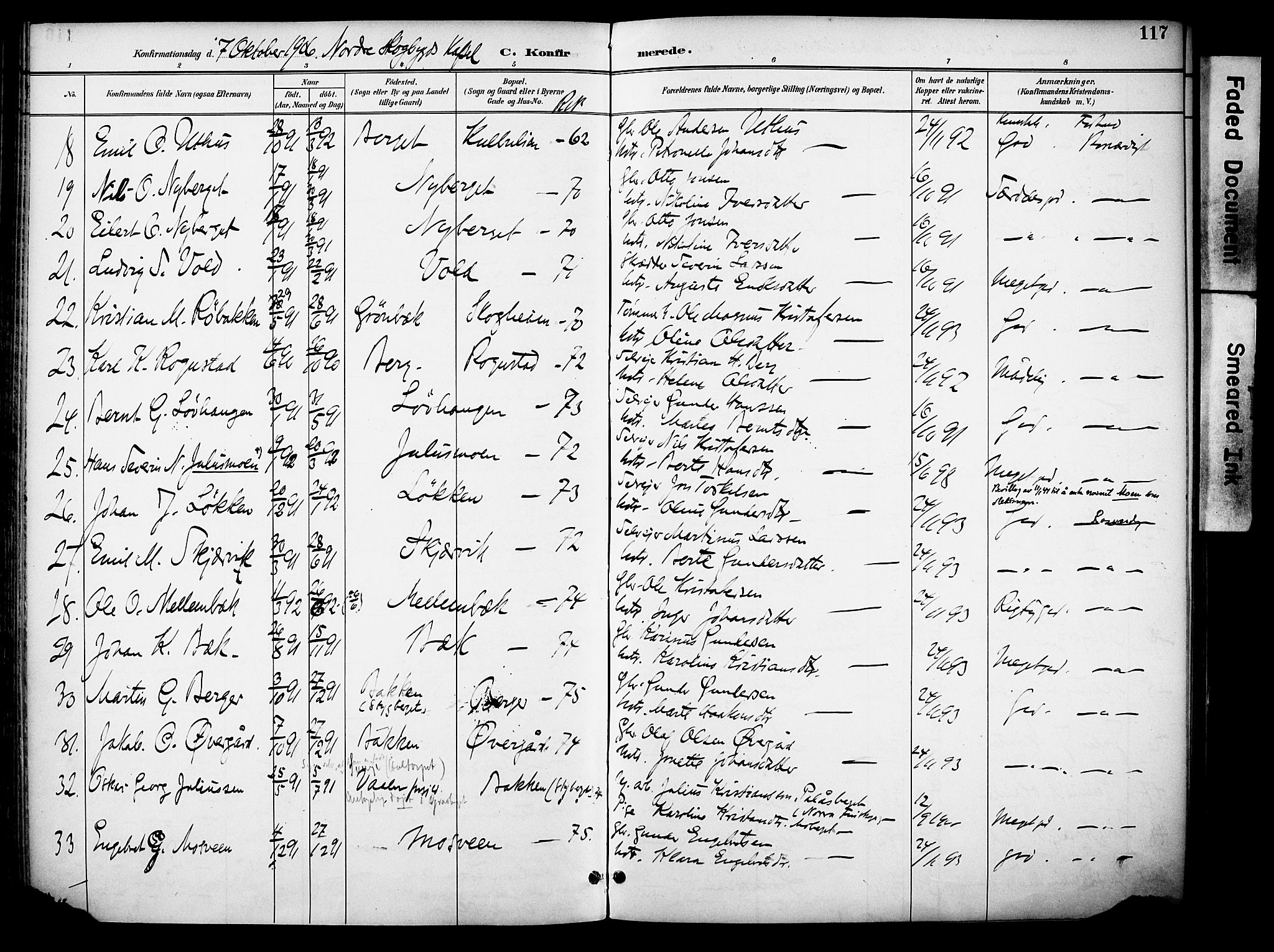 Elverum prestekontor, AV/SAH-PREST-044/H/Ha/Haa/L0015: Parish register (official) no. 15, 1893-1913, p. 117