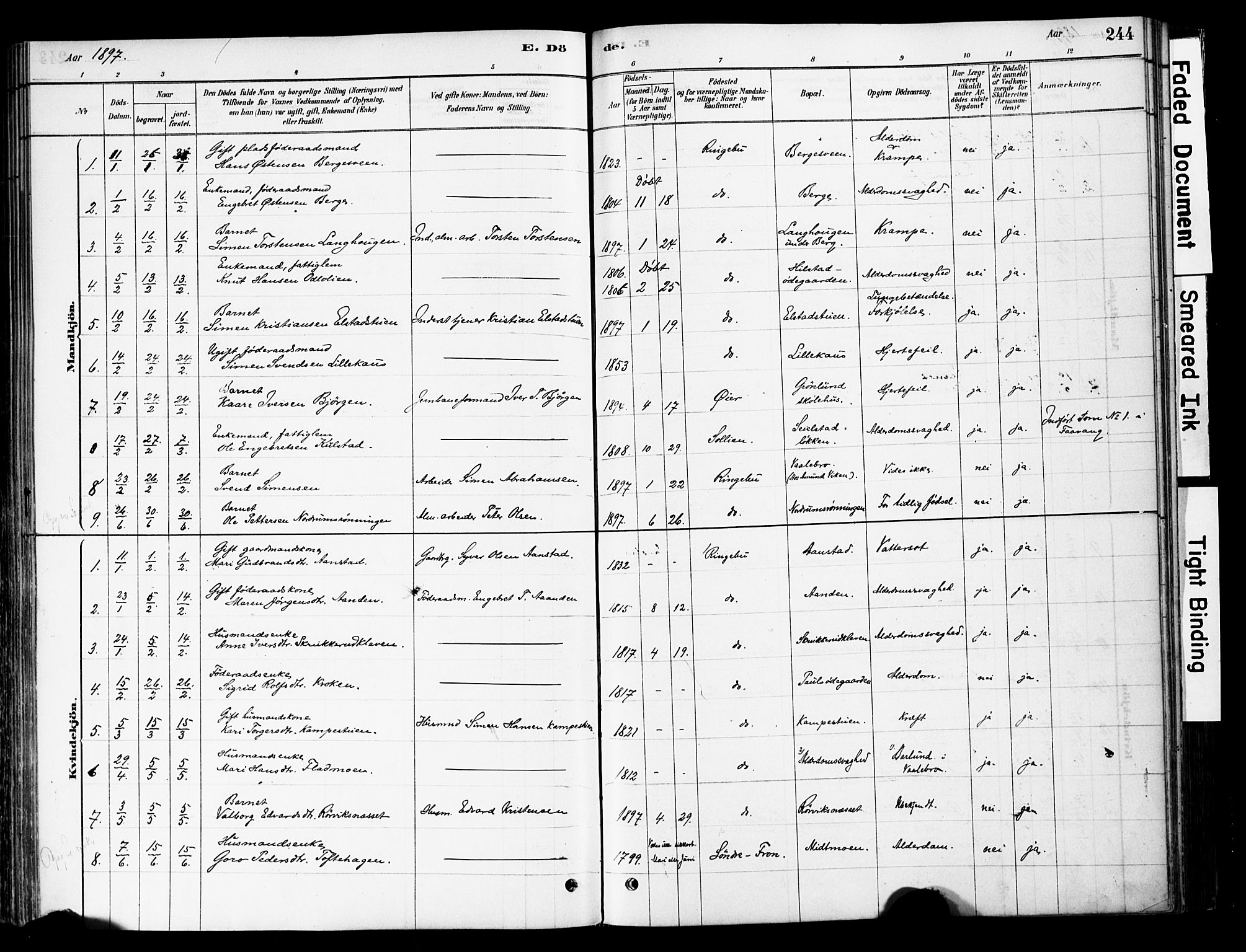 Ringebu prestekontor, AV/SAH-PREST-082/H/Ha/Haa/L0008: Parish register (official) no. 8, 1878-1898, p. 244