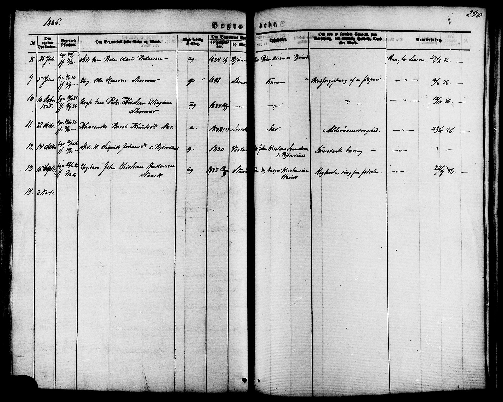 Ministerialprotokoller, klokkerbøker og fødselsregistre - Møre og Romsdal, SAT/A-1454/565/L0749: Parish register (official) no. 565A03, 1871-1886, p. 290