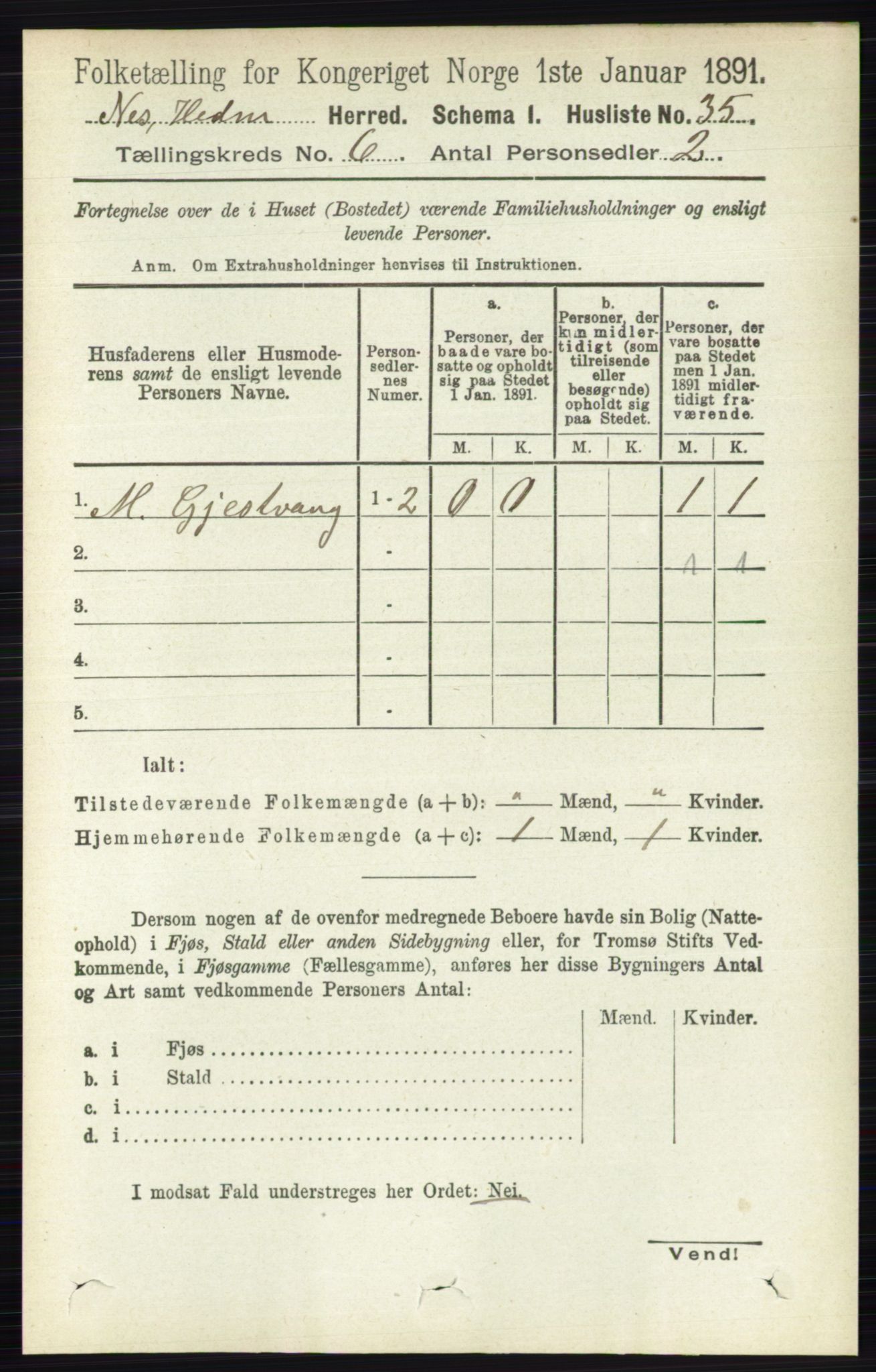 RA, 1891 census for 0411 Nes, 1891, p. 3203