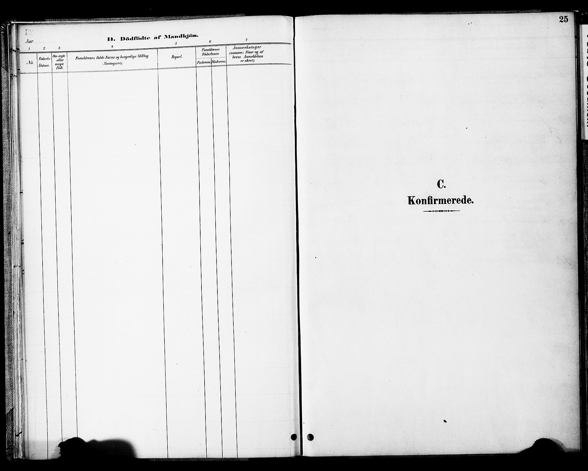 Spydeberg prestekontor Kirkebøker, SAO/A-10924/F/Fc/L0001: Parish register (official) no. III 1, 1886-1907, p. 25