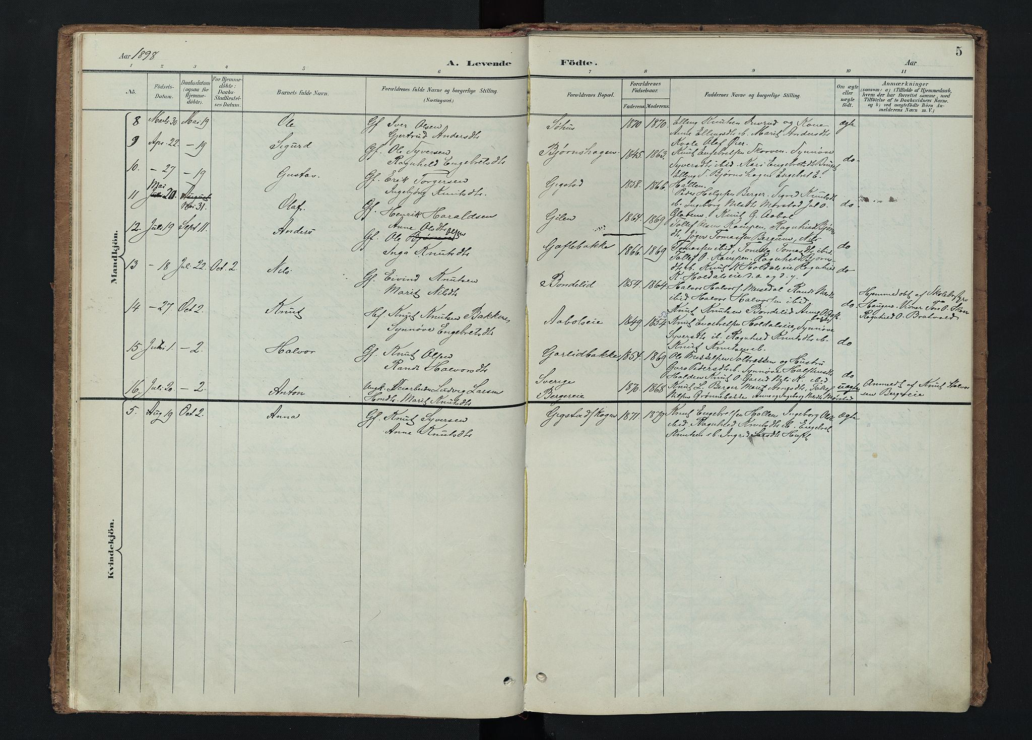 Nord-Aurdal prestekontor, SAH/PREST-132/H/Ha/Haa/L0015: Parish register (official) no. 15, 1896-1914, p. 5