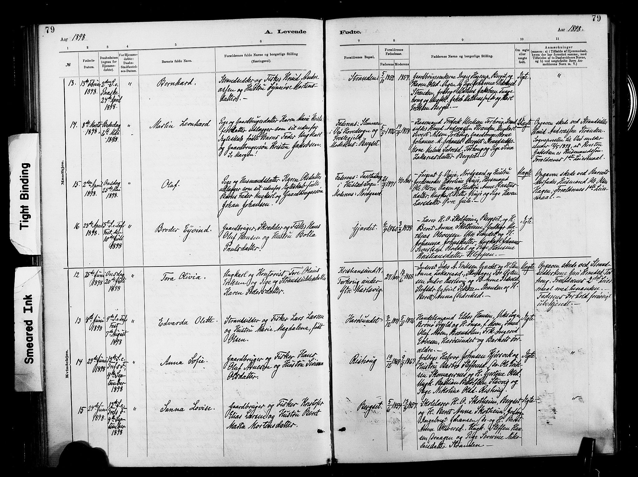 Ministerialprotokoller, klokkerbøker og fødselsregistre - Møre og Romsdal, AV/SAT-A-1454/566/L0769: Parish register (official) no. 566A08, 1881-1903, p. 79