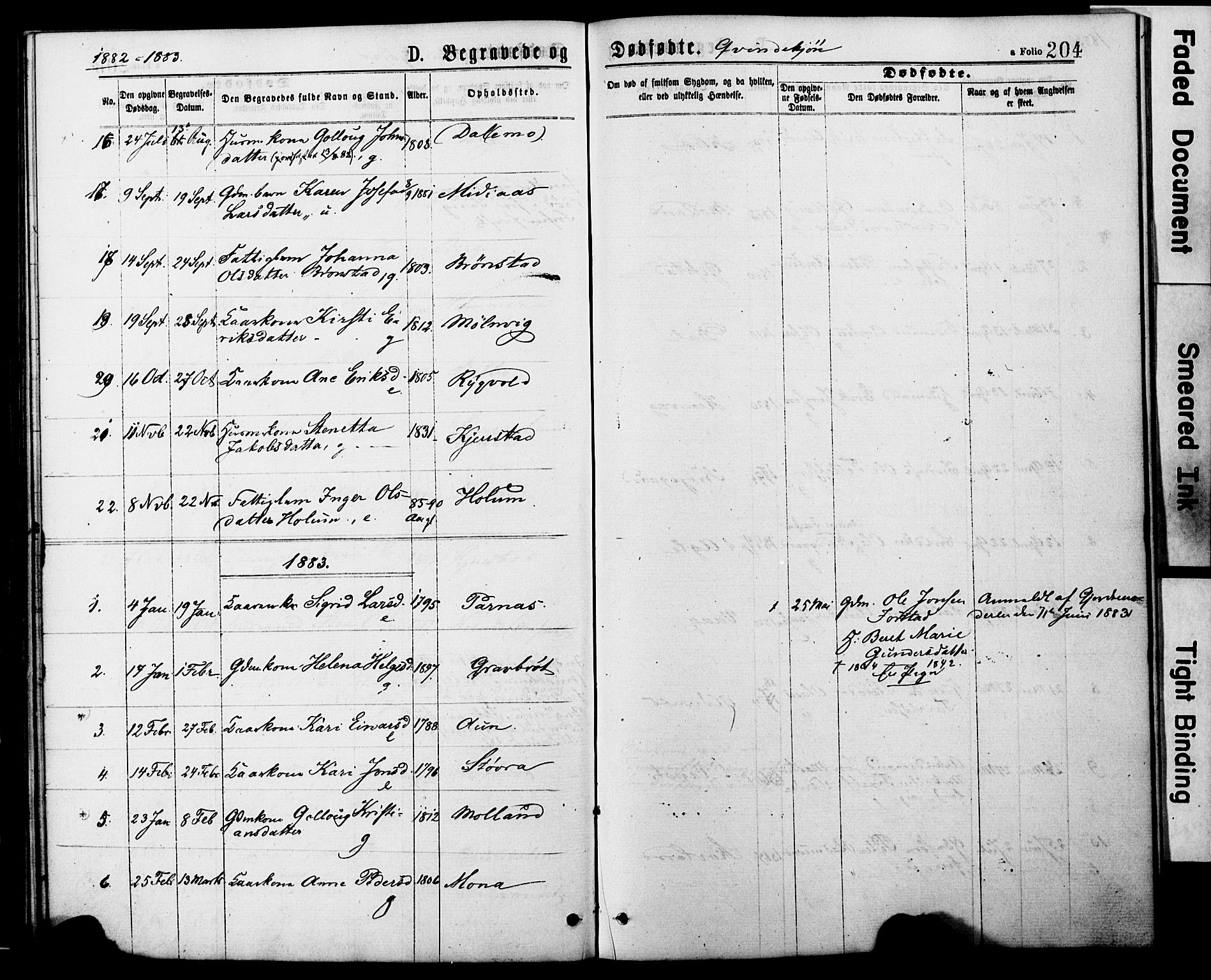 Ministerialprotokoller, klokkerbøker og fødselsregistre - Nord-Trøndelag, AV/SAT-A-1458/749/L0473: Parish register (official) no. 749A07, 1873-1887, p. 204