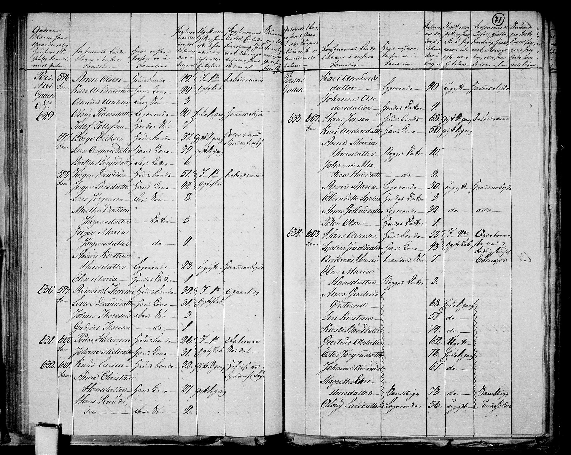 RA, 1801 census for 0101P Fredrikshald, 1801, p. 70b-71a