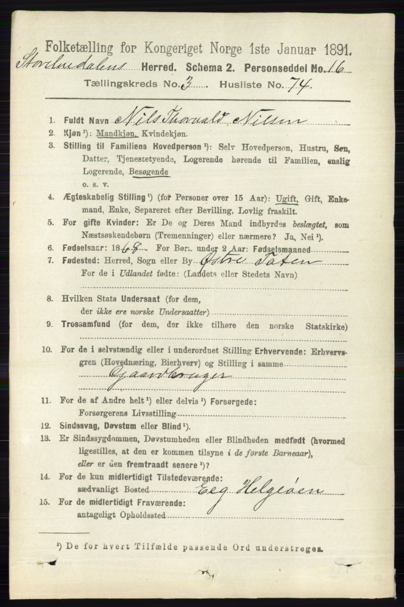 RA, 1891 census for 0430 Stor-Elvdal, 1891, p. 1380