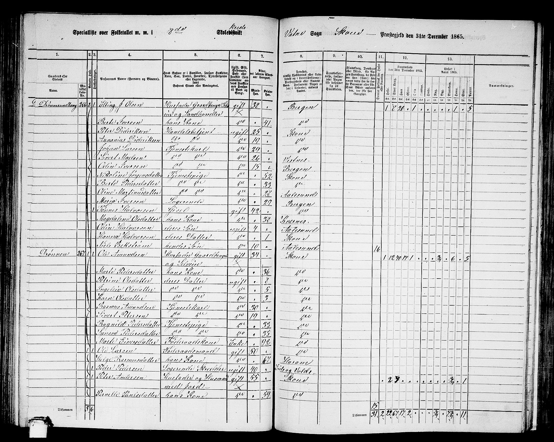 RA, 1865 census for Skodje, 1865, p. 94