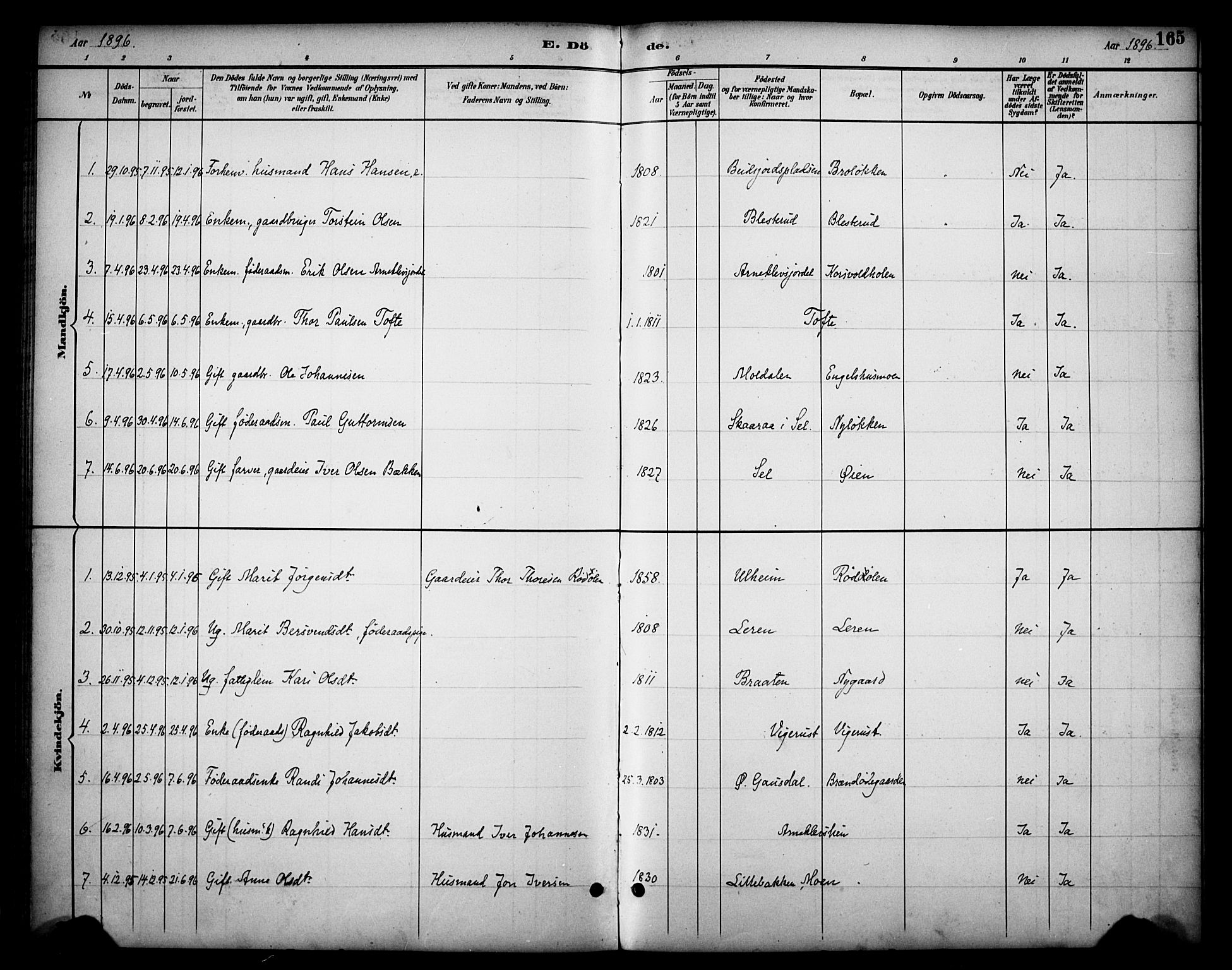 Dovre prestekontor, AV/SAH-PREST-066/H/Ha/Haa/L0003: Parish register (official) no. 3, 1891-1901, p. 165